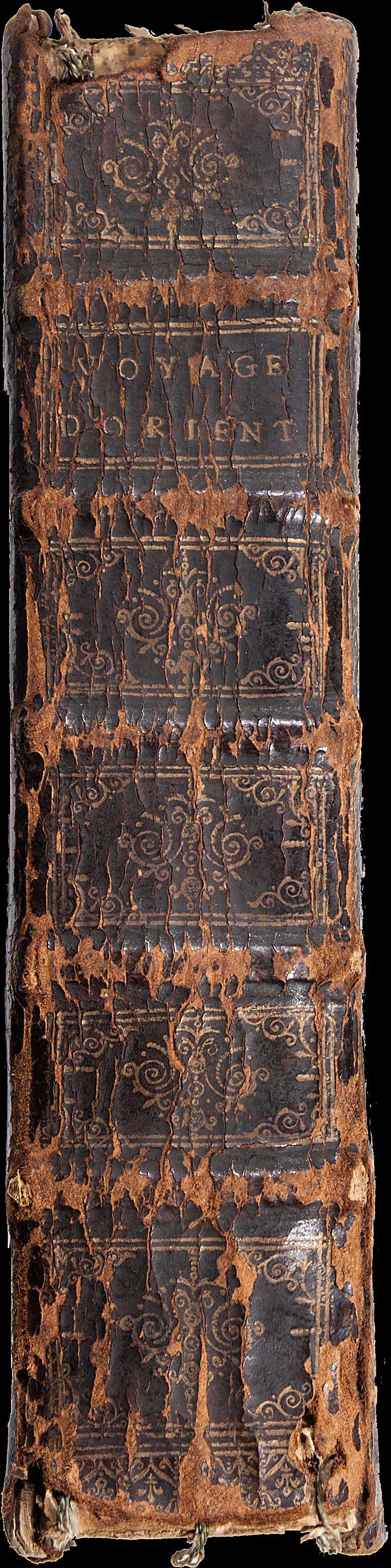 Lot 03010
