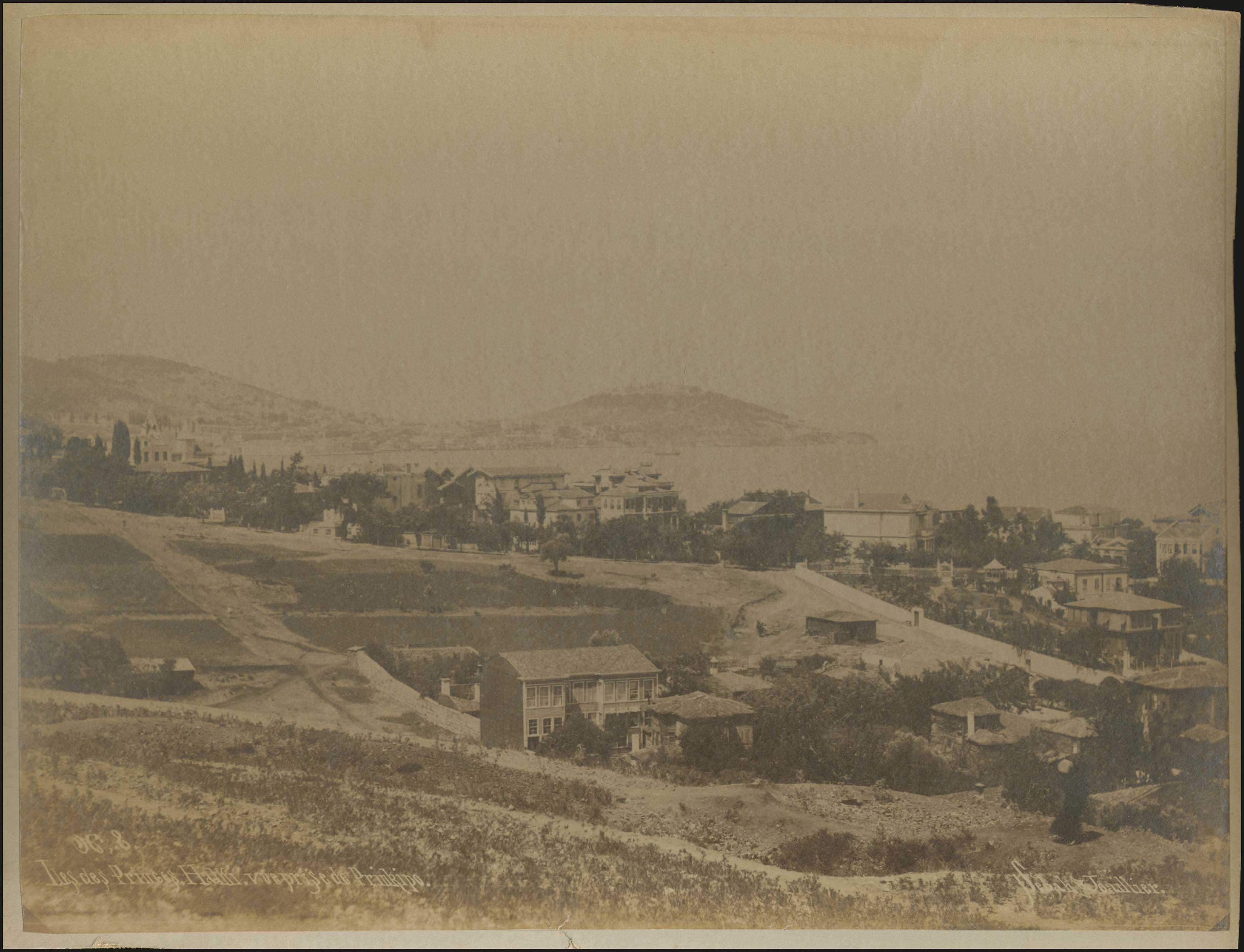Lot 03470