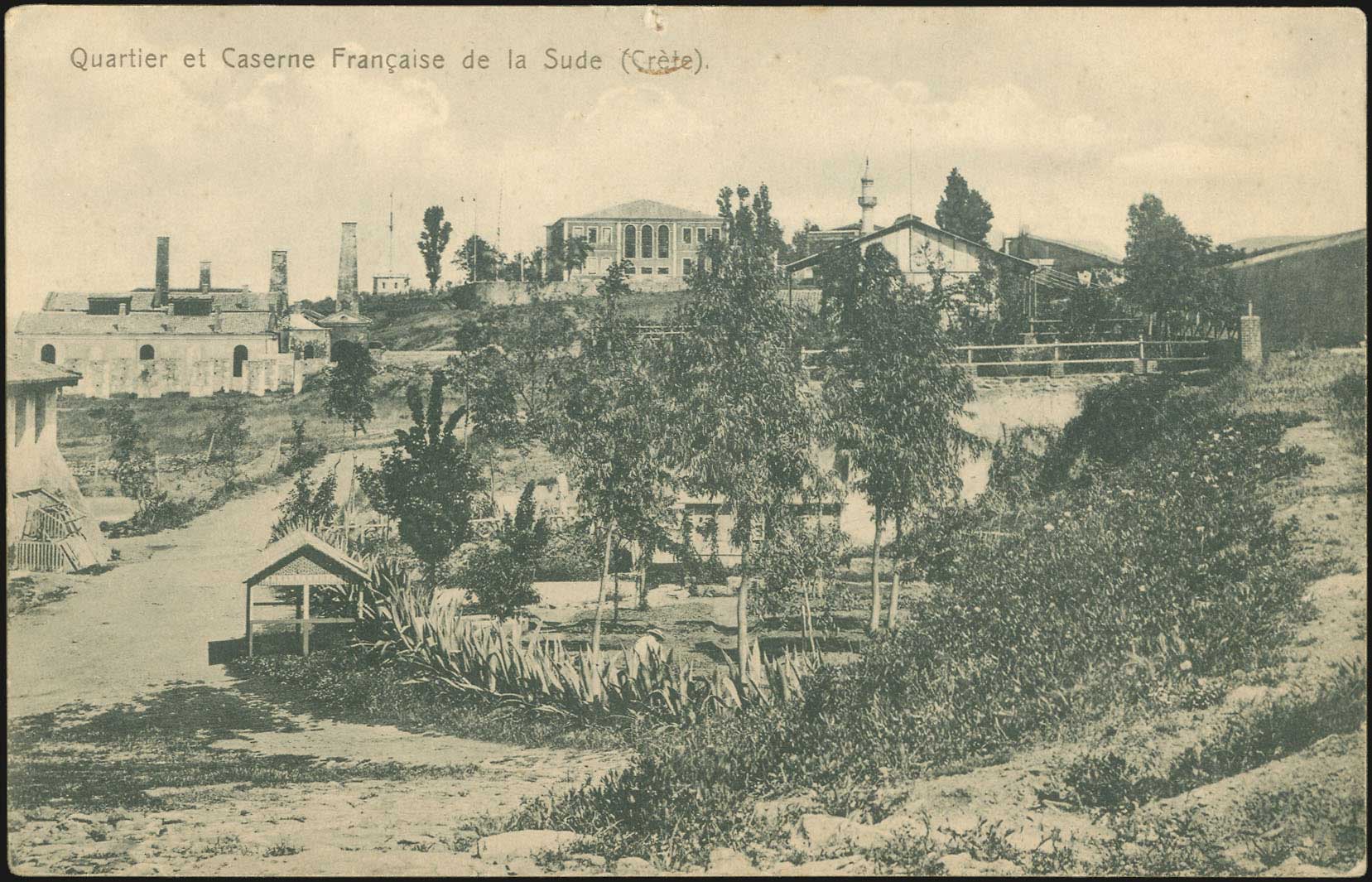 Lot 01263