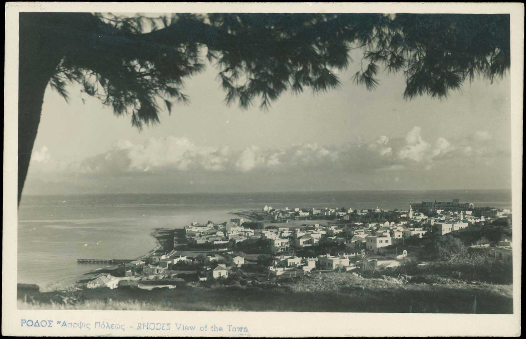 Lot 01237