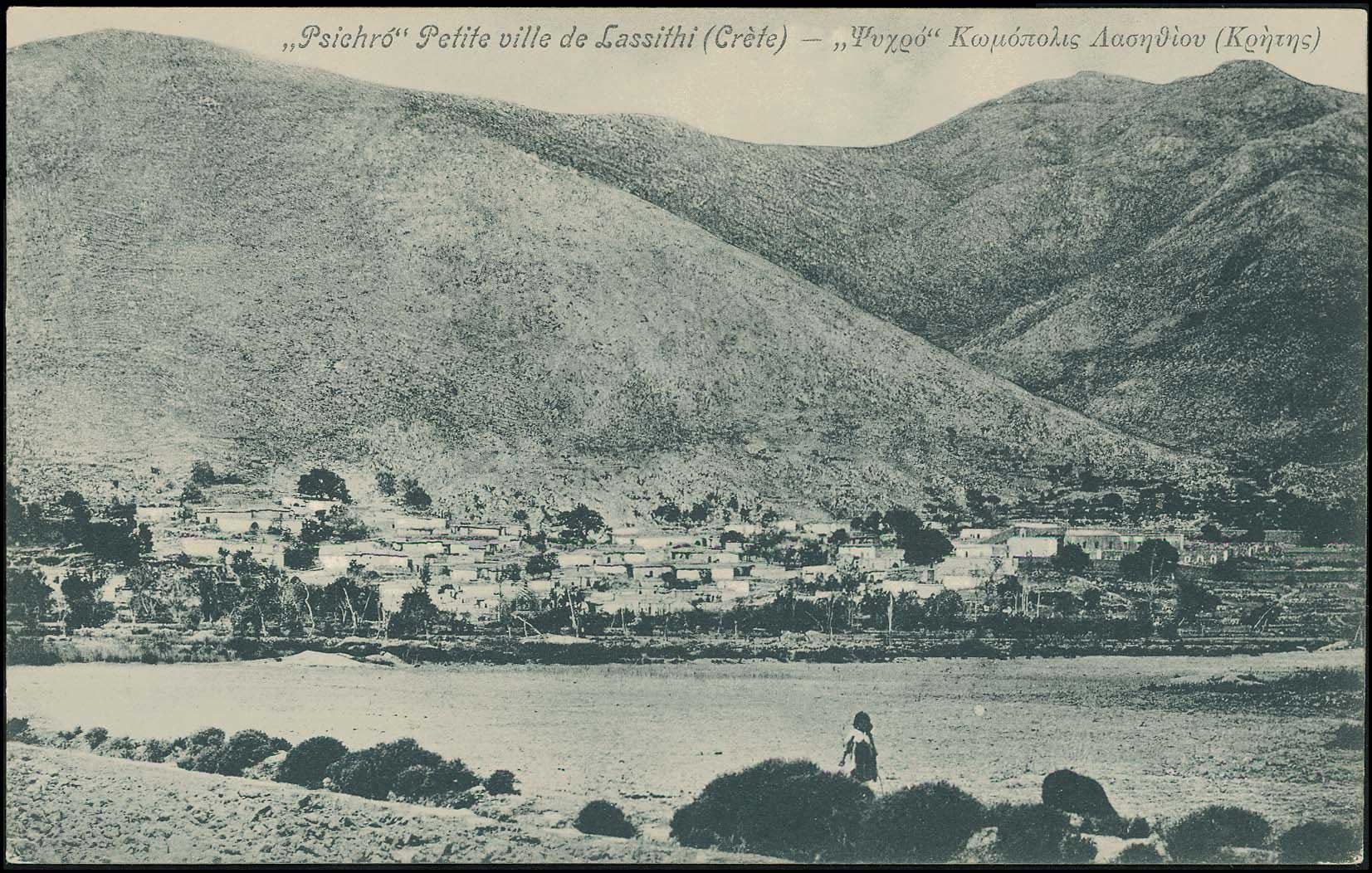 Lot 01334