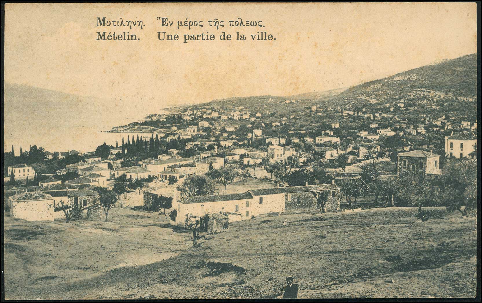 Lot 01402