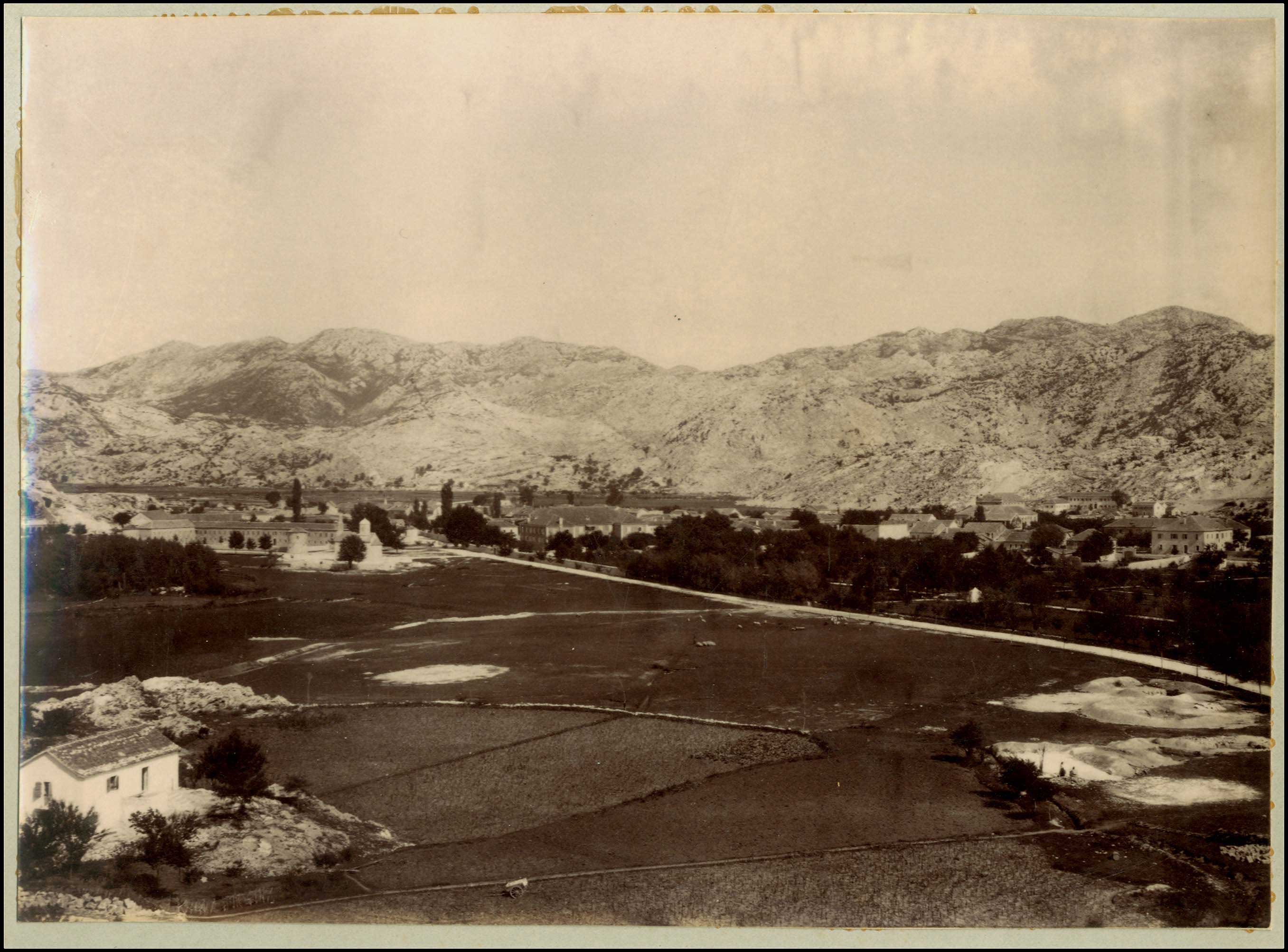 Lot 09004