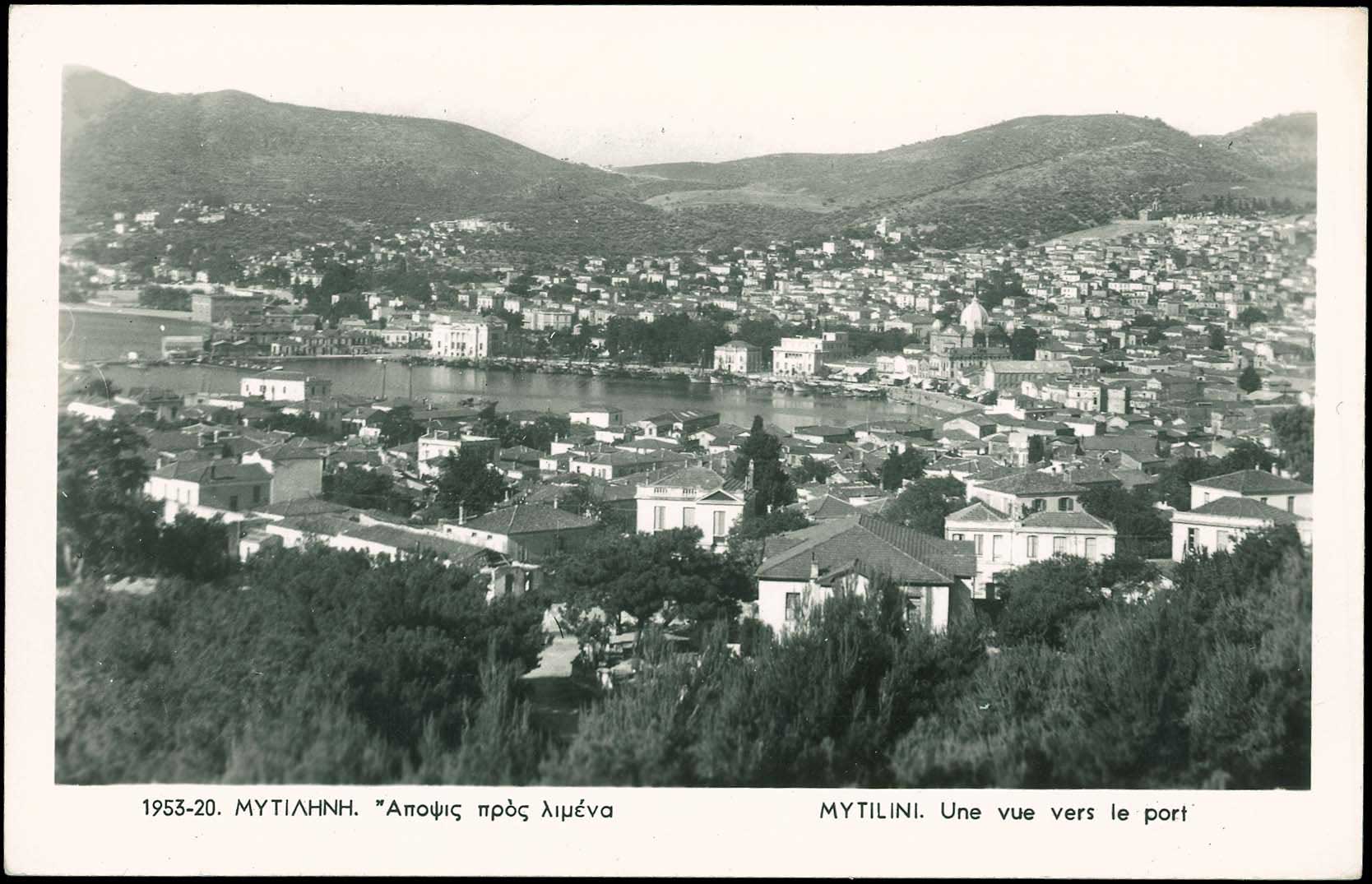 Lot 01381