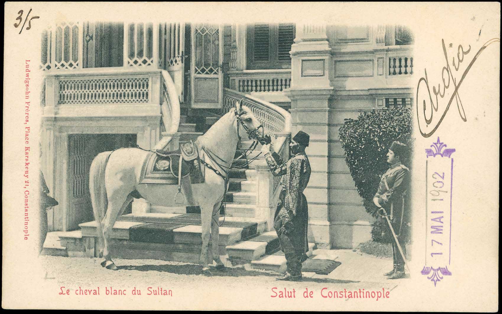 Lot 02351