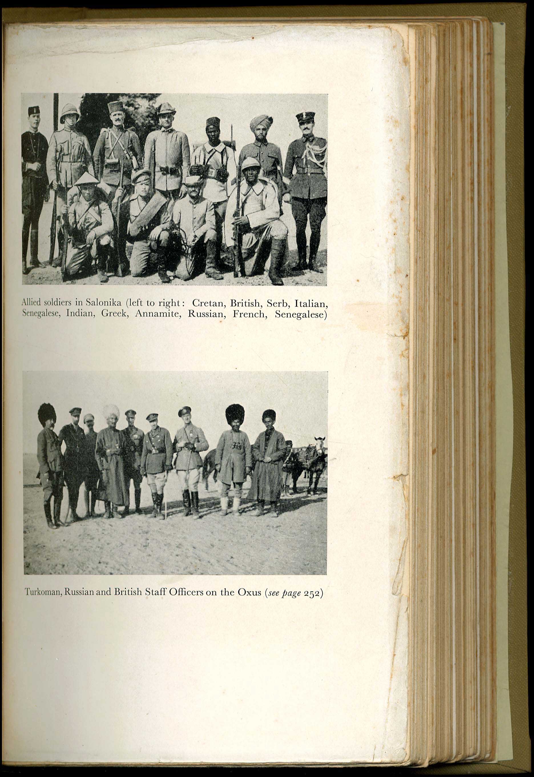 Lot 08341