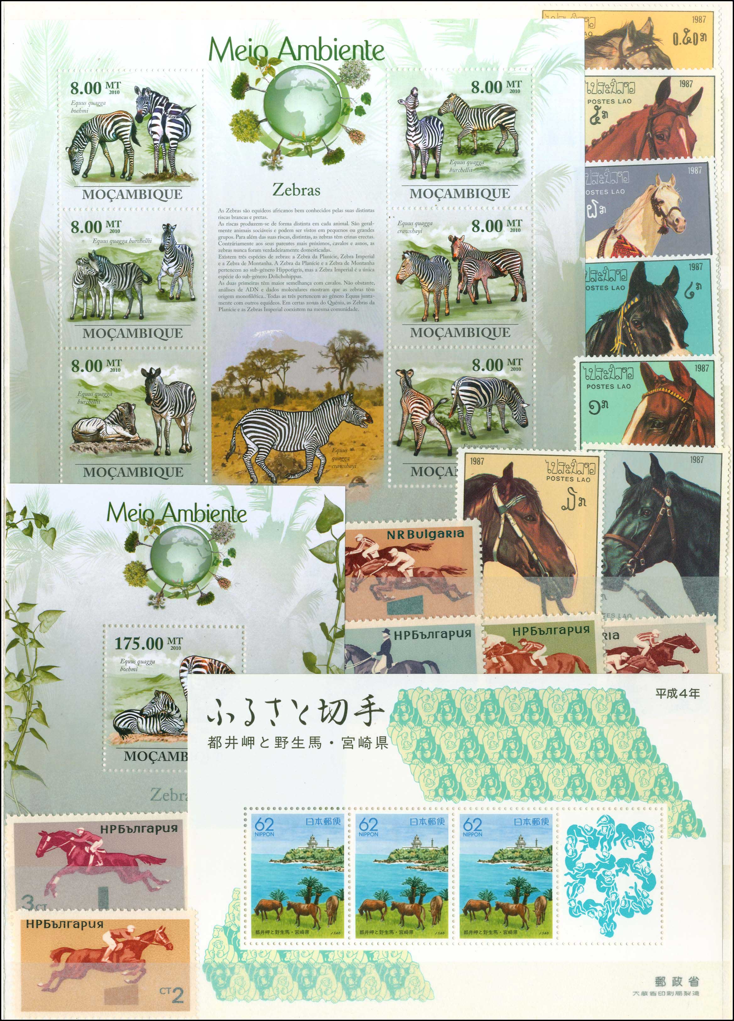 Lot 01135