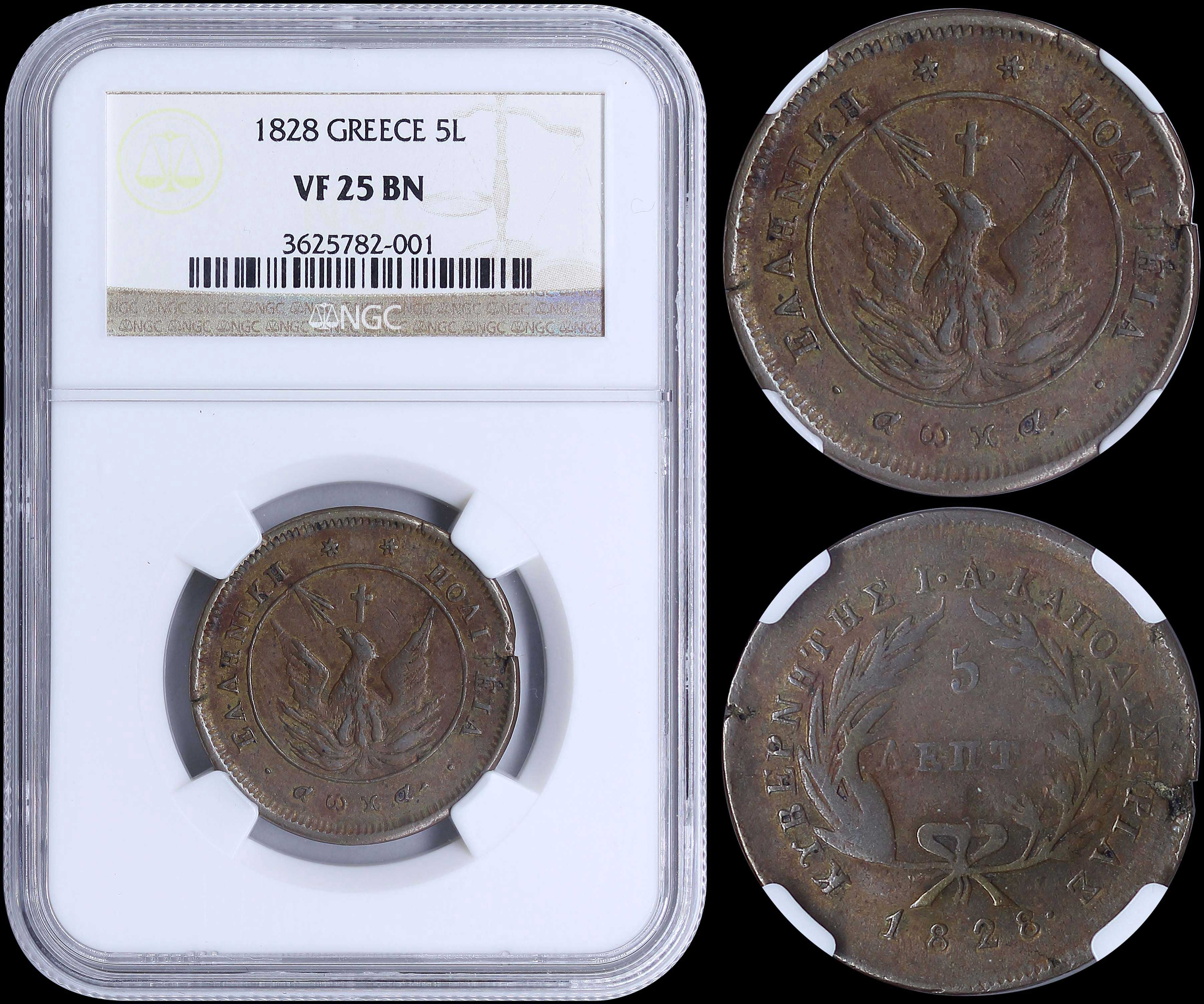 Lot 06009