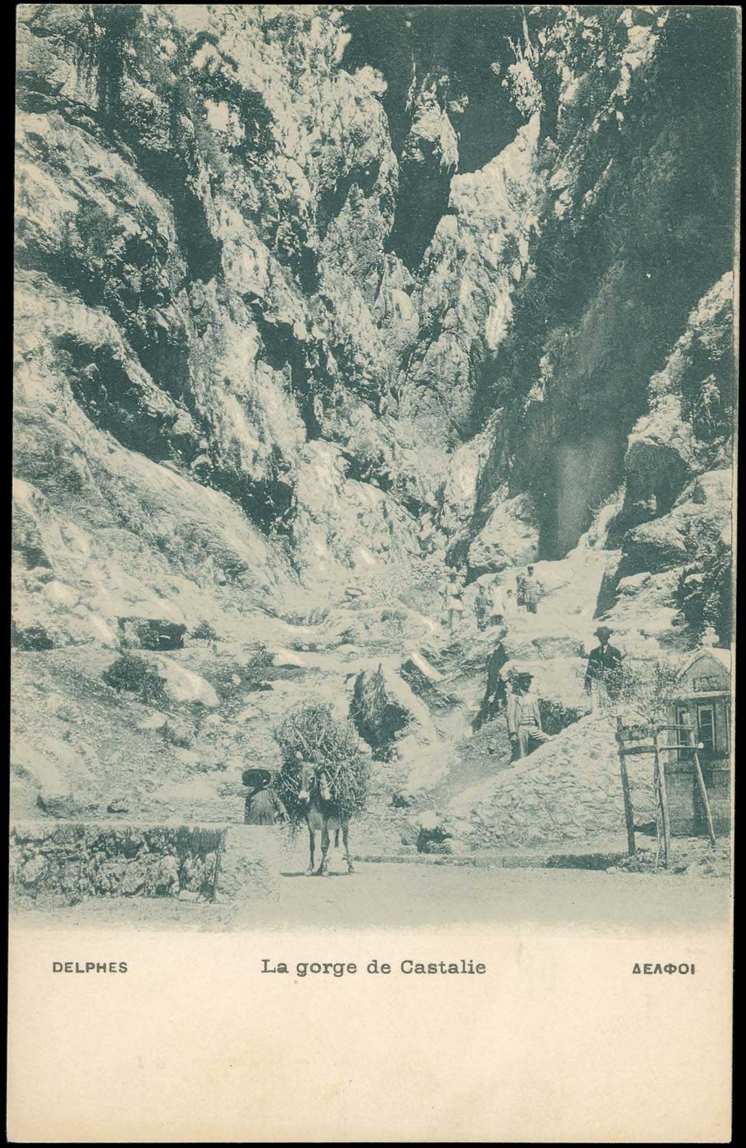 Lot 01557