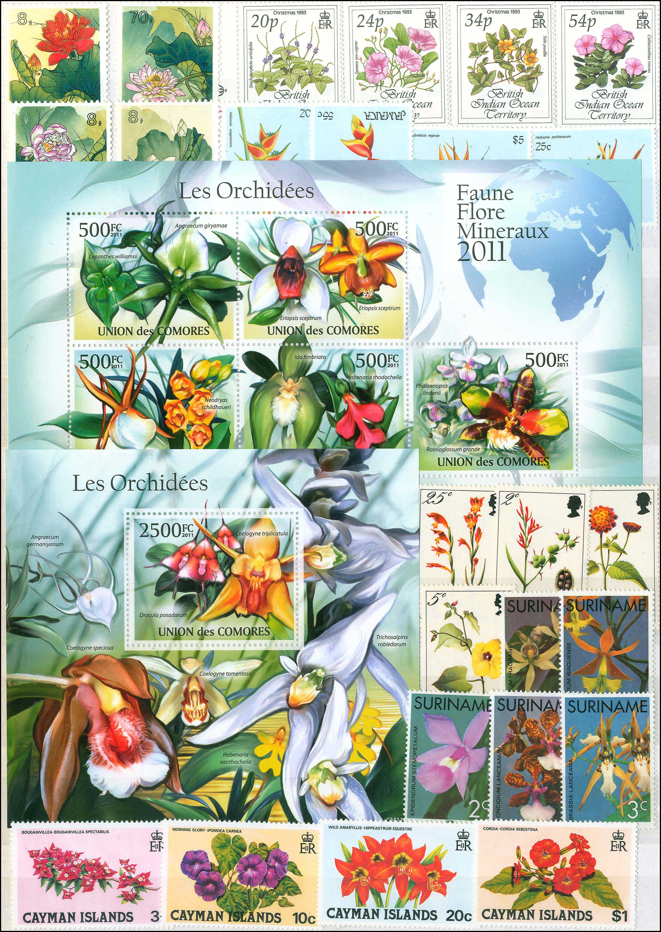 Lot 01130
