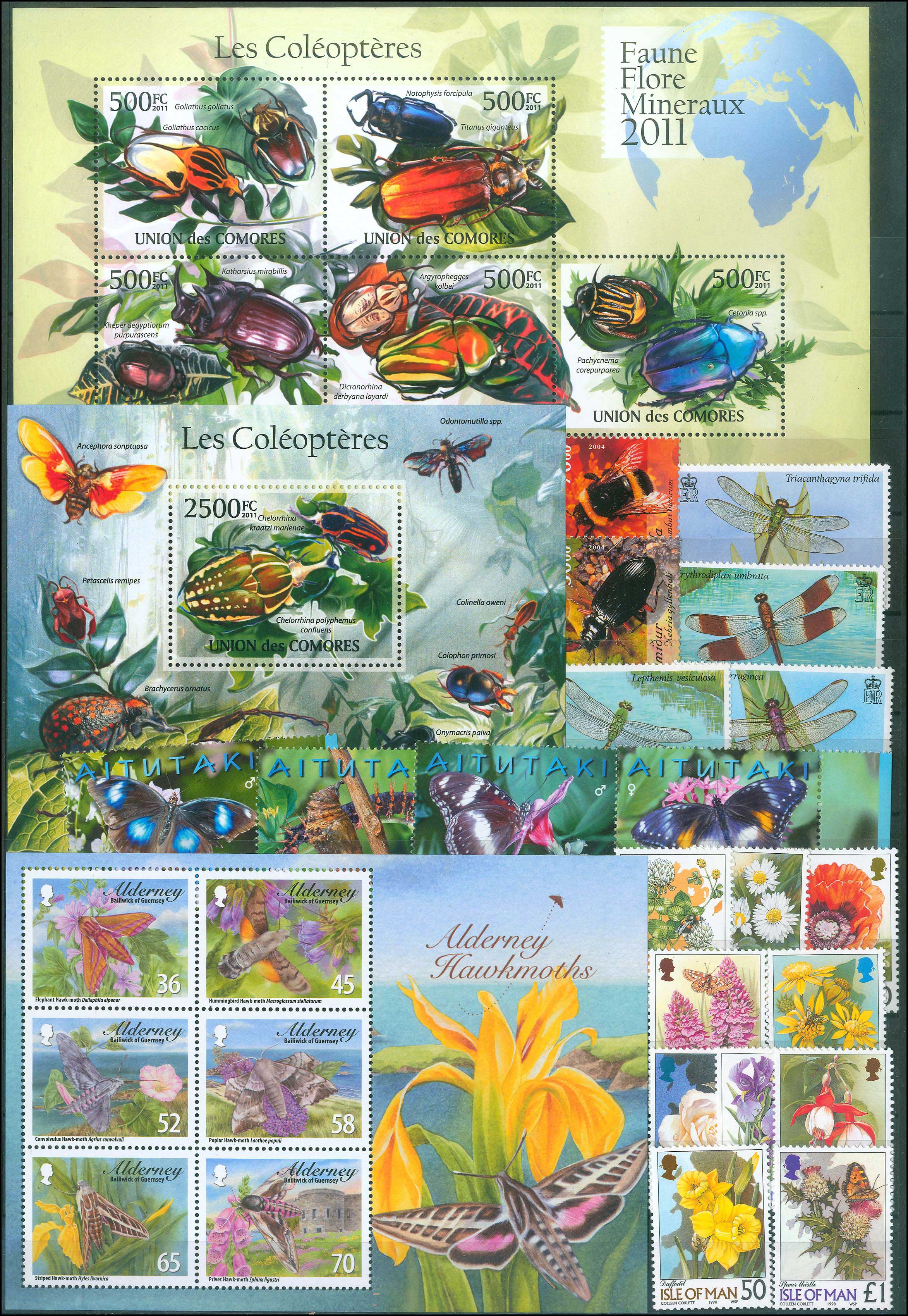 Lot 01131