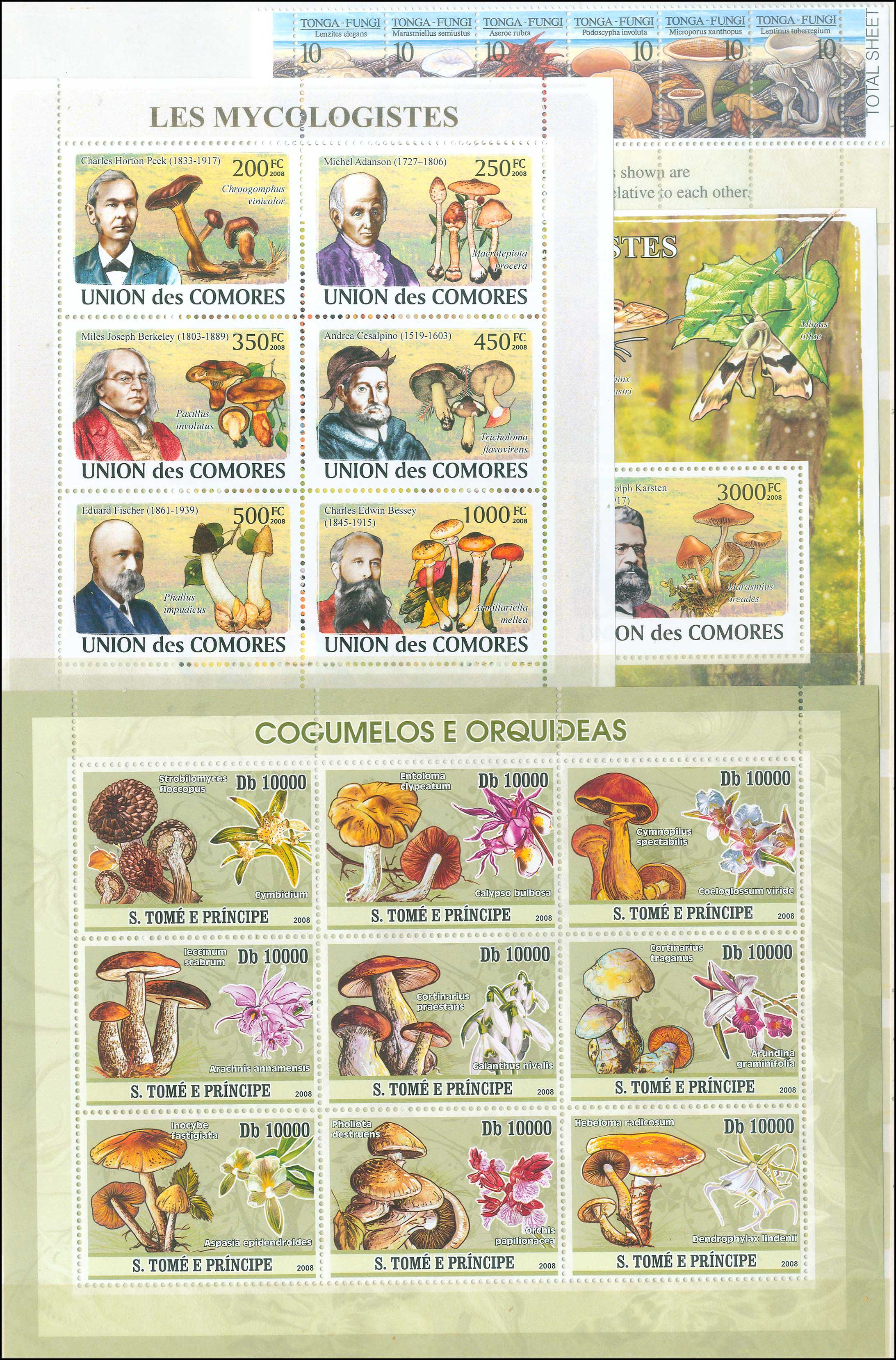 Lot 01165