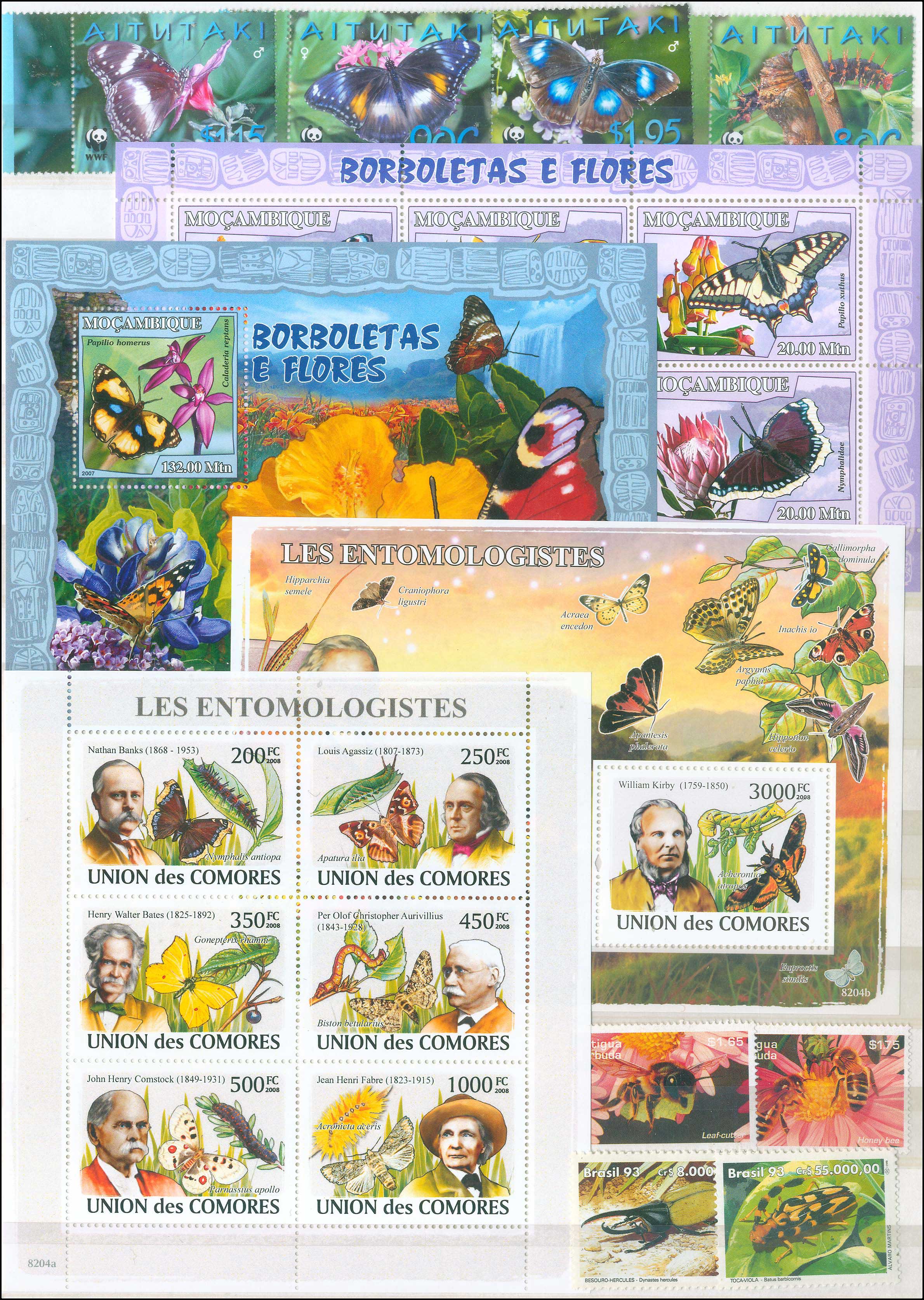 Lot 01805