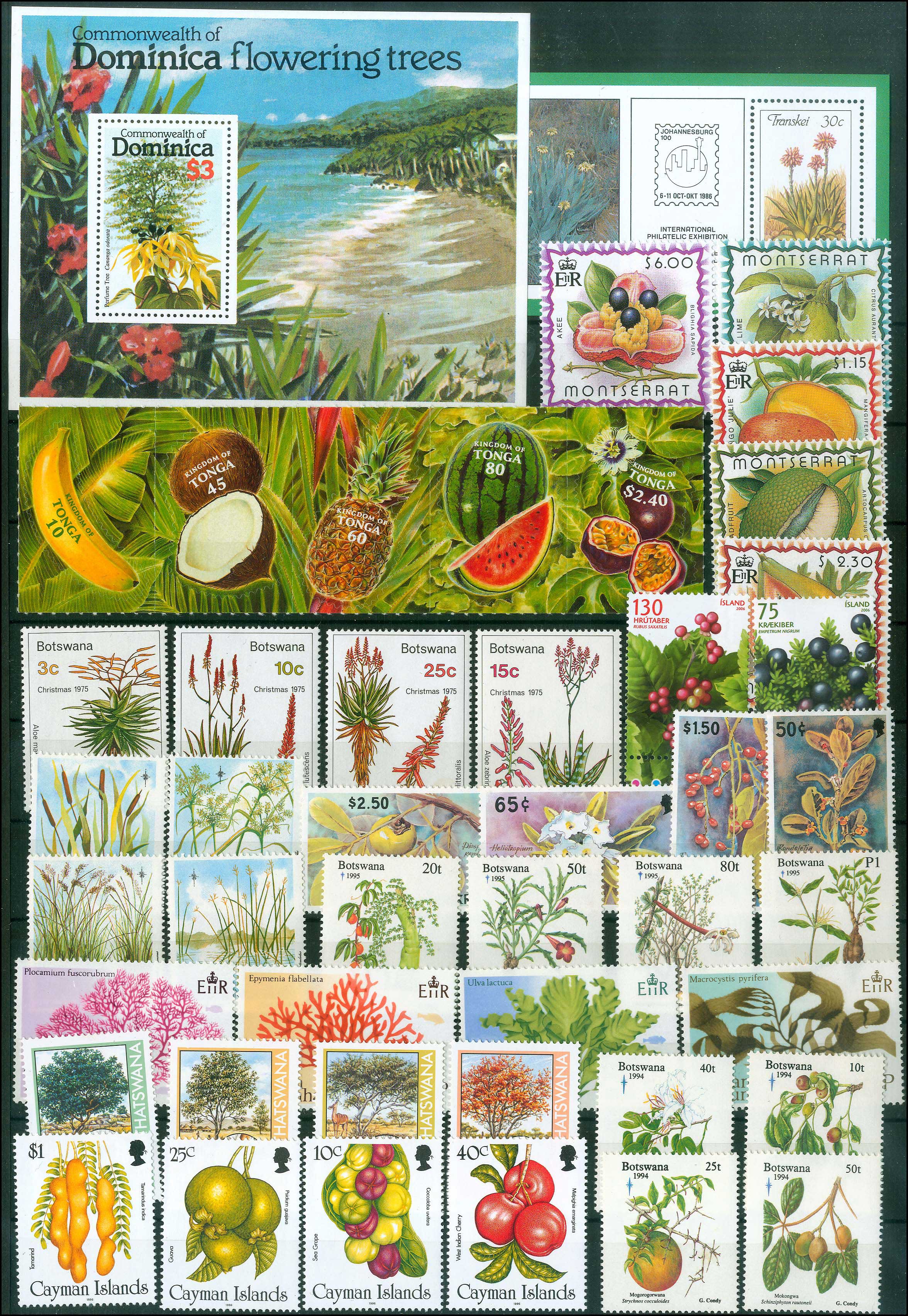 Lot 01171