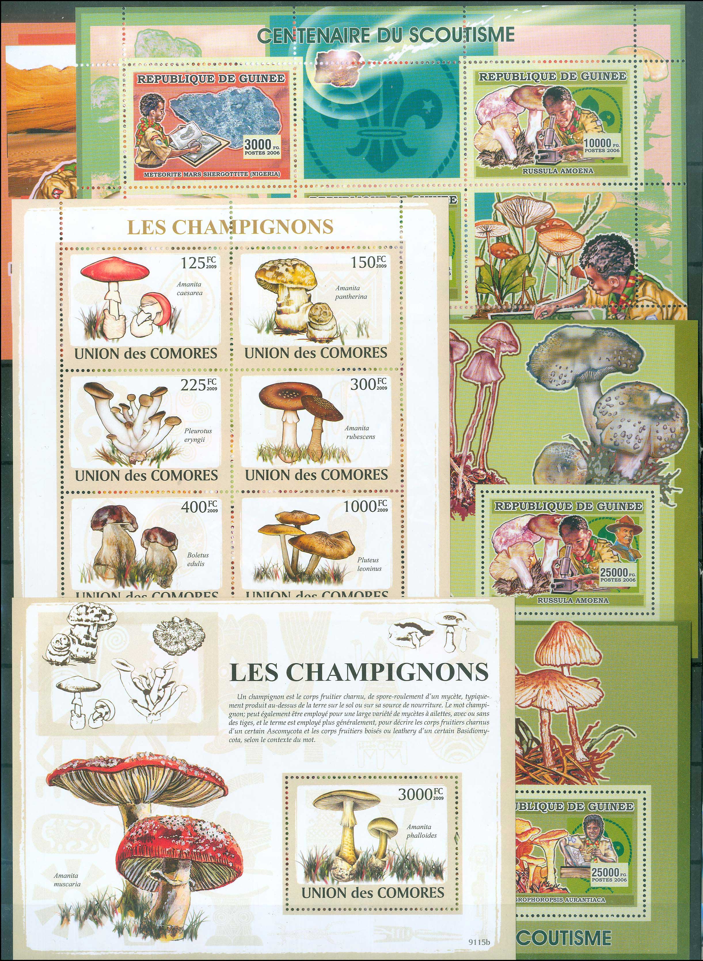 Lot 01822