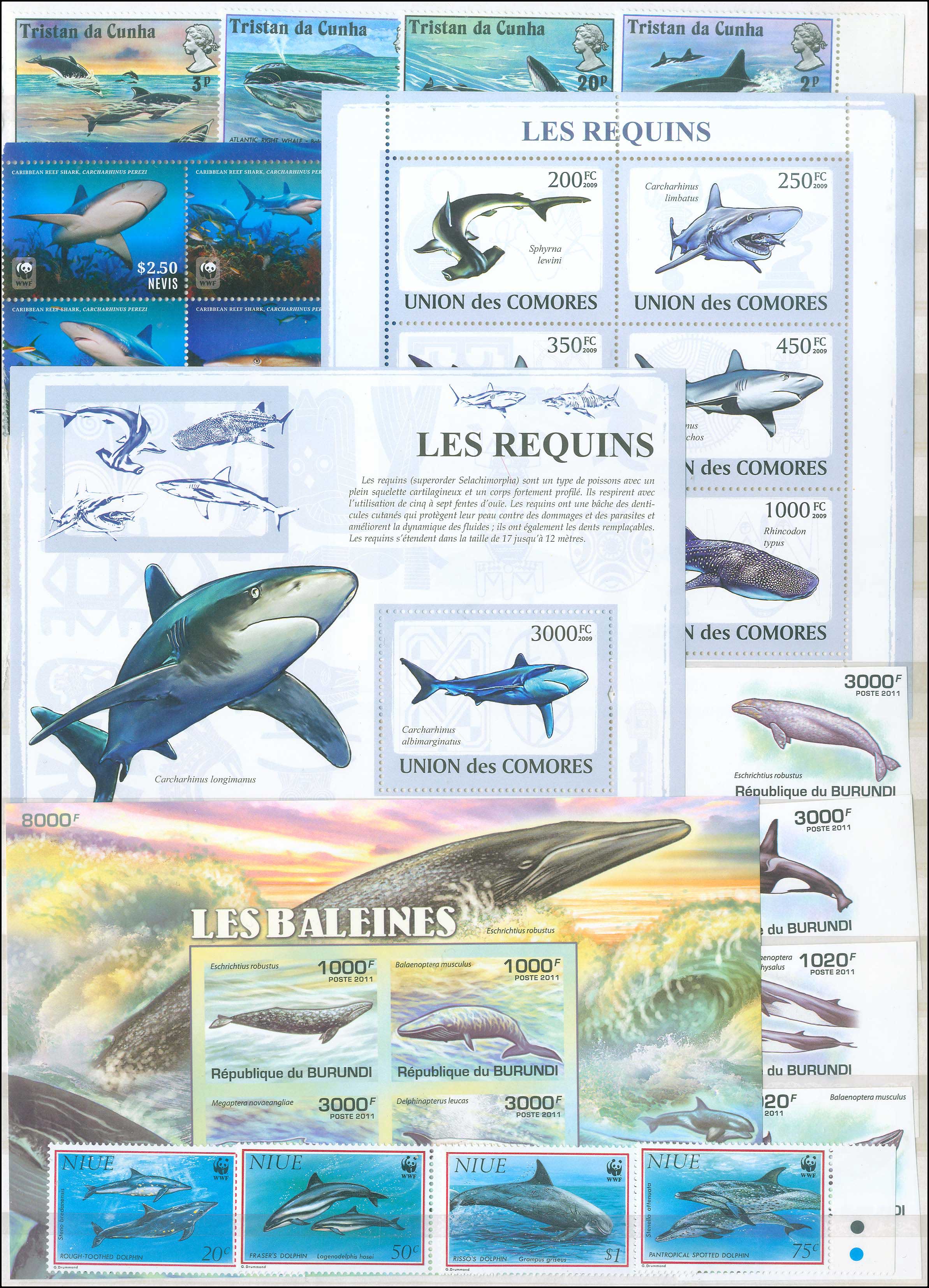 Lot 01814
