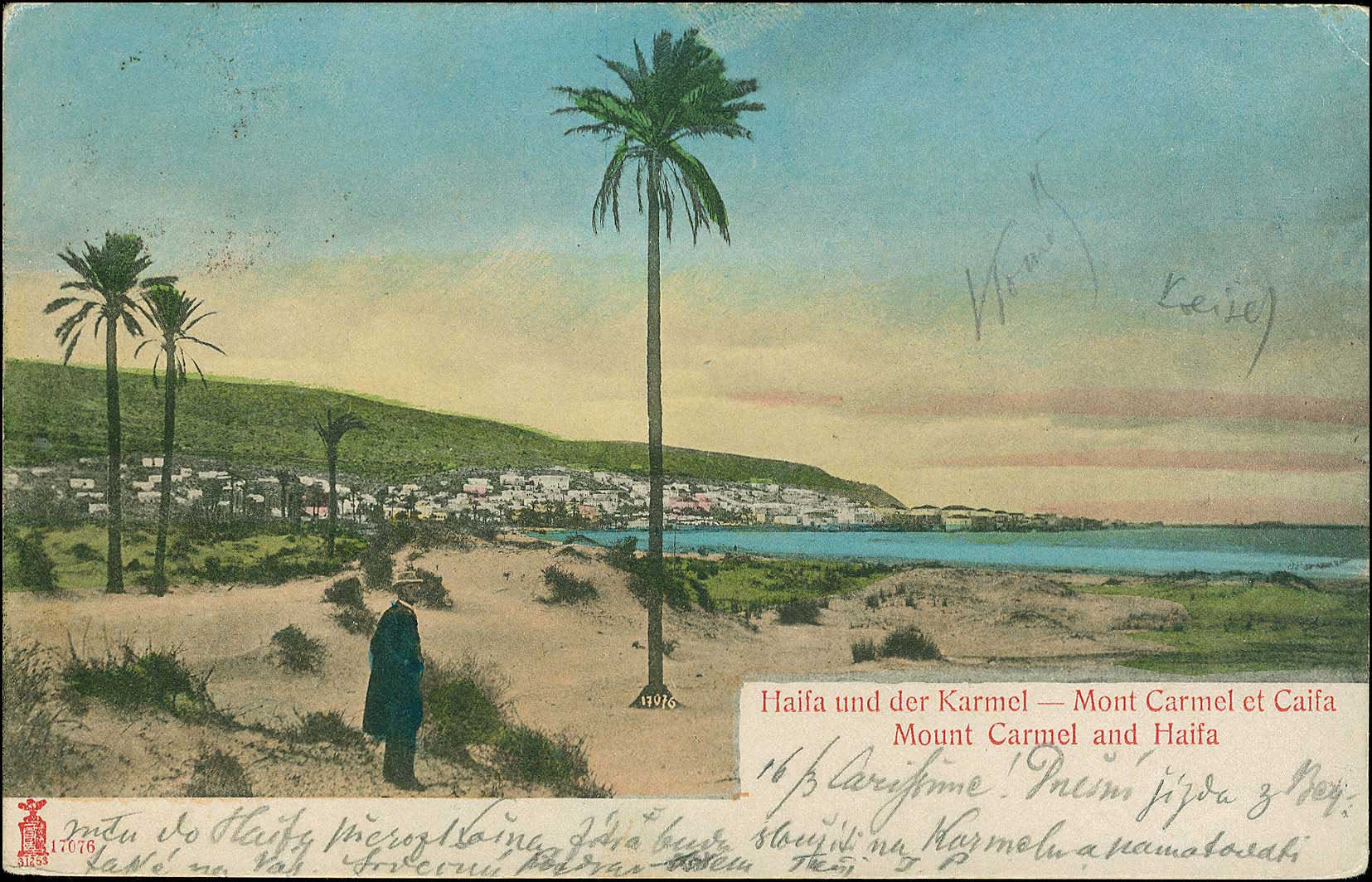 Lot 01195