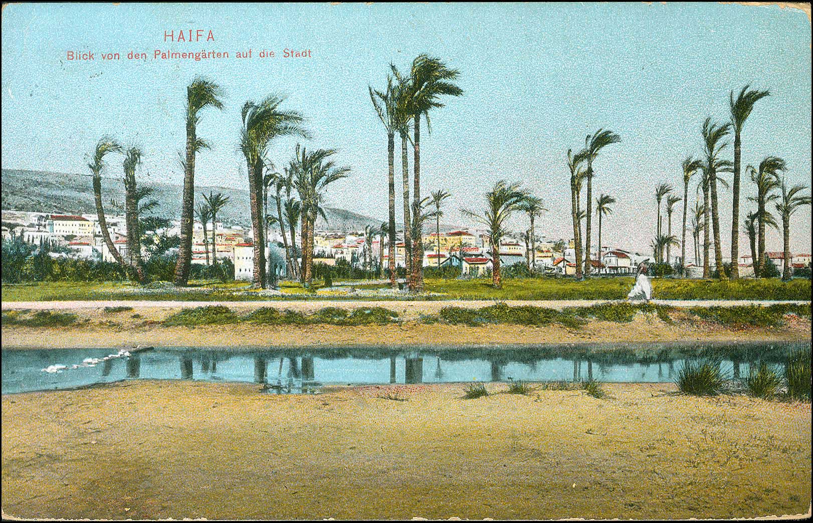Lot 01196