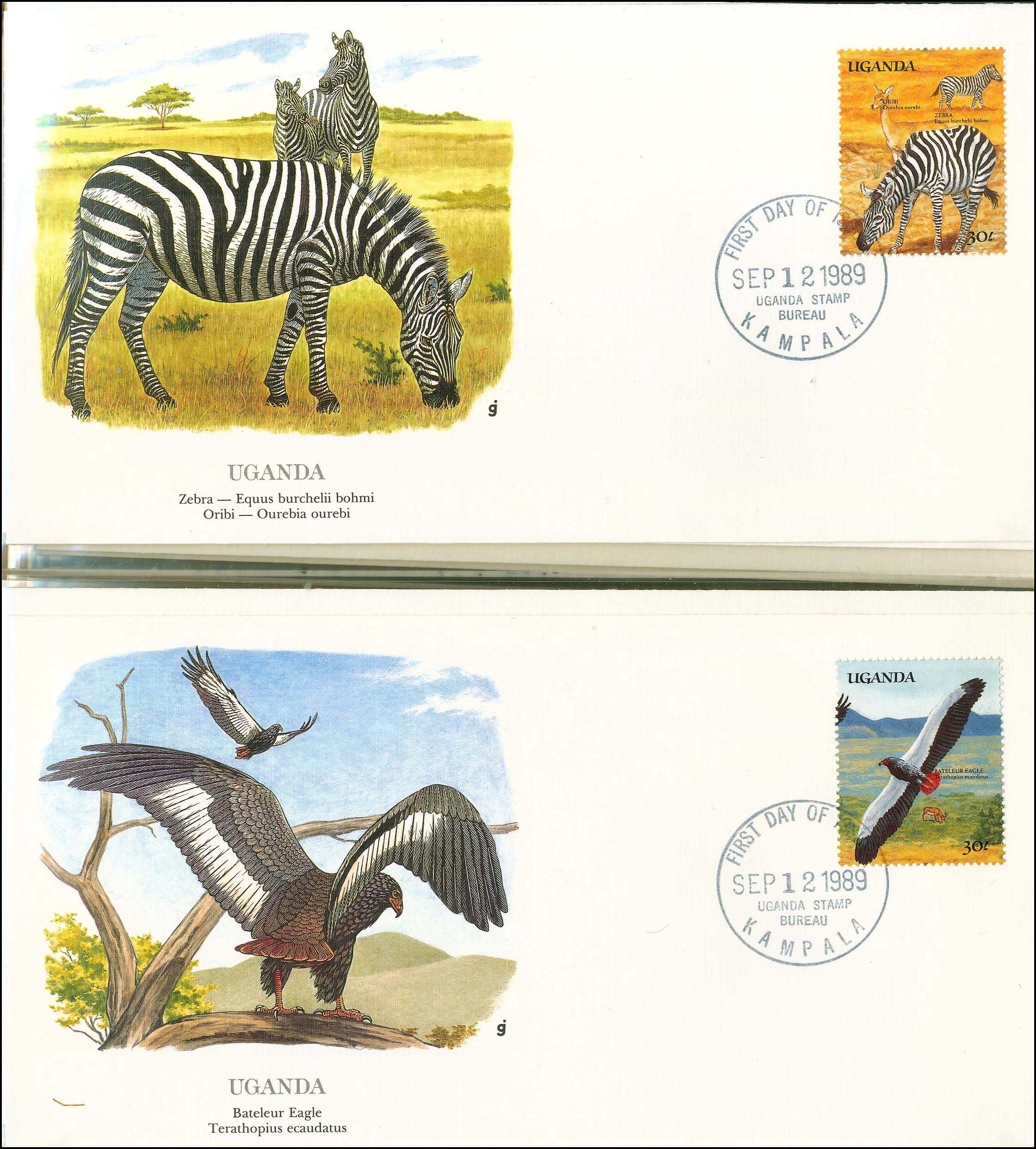 Lot 01804