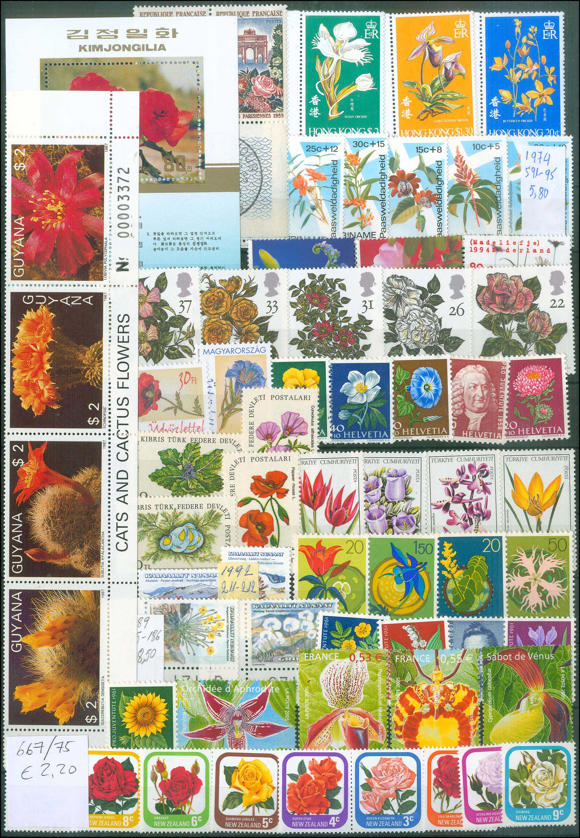 Lot 01826
