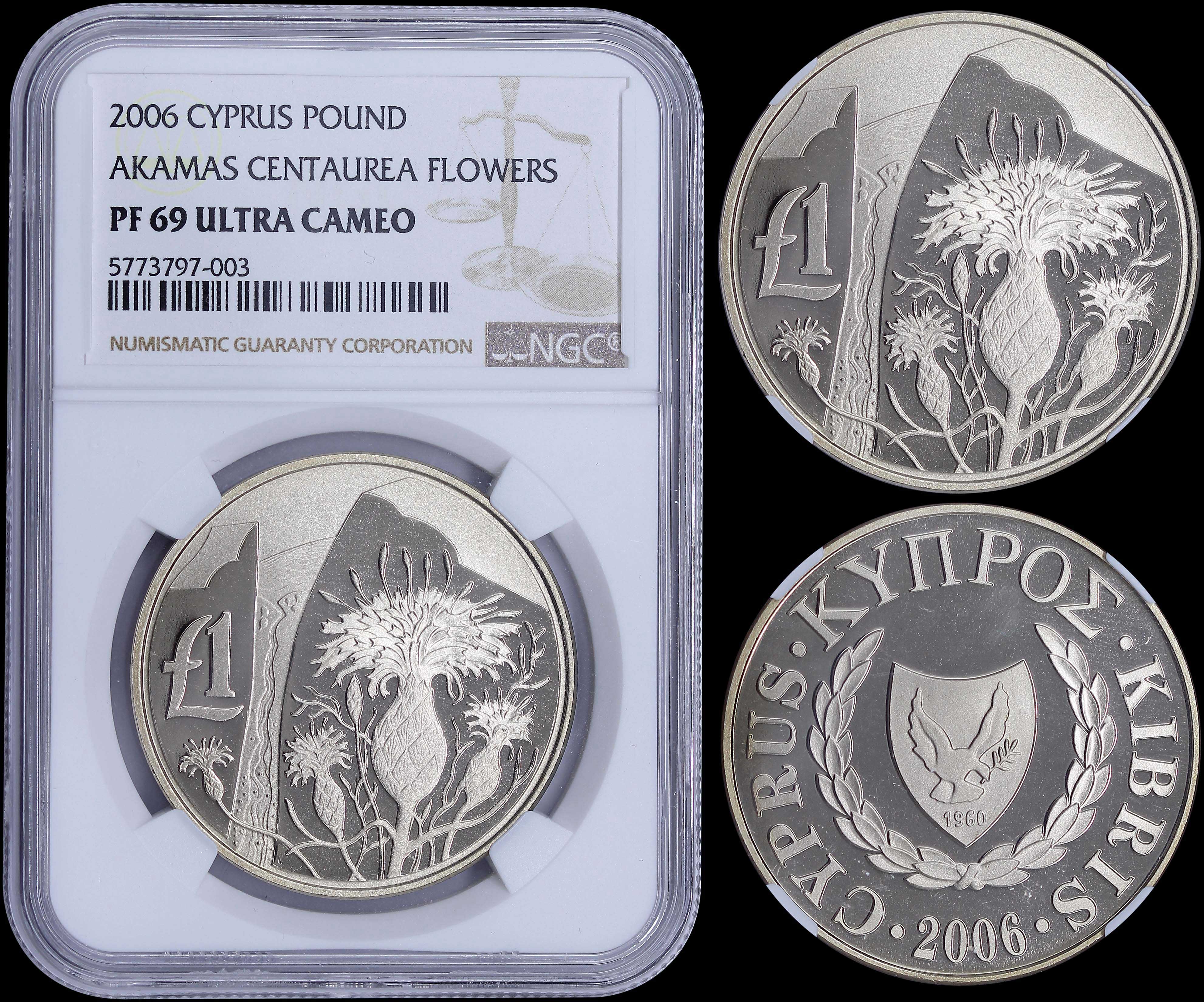 Lot 06313