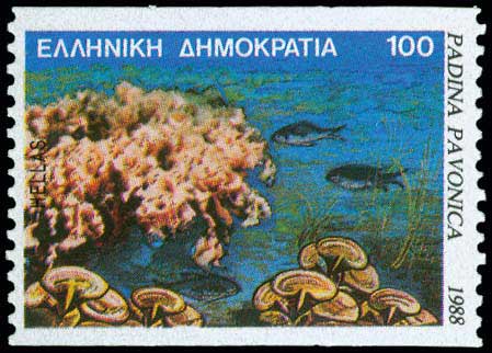 Lot 00571