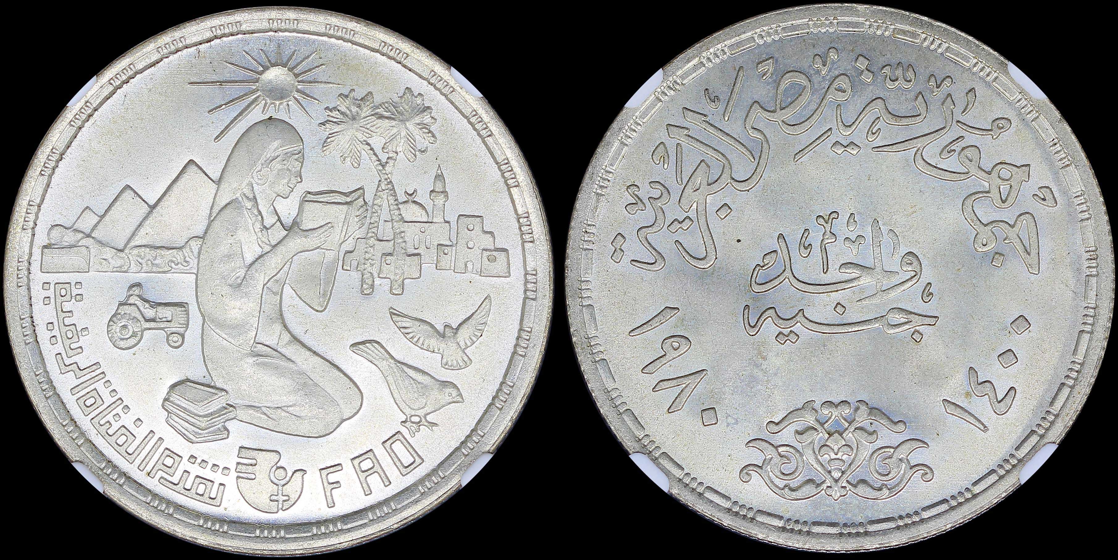 Lot 07029