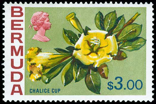 Lot 01215