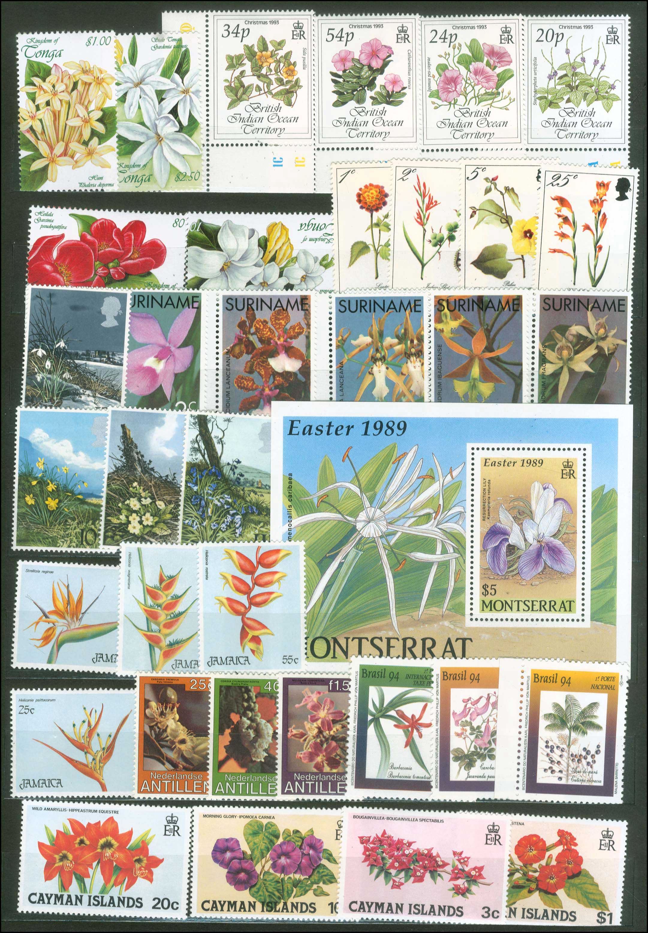 Lot 01038