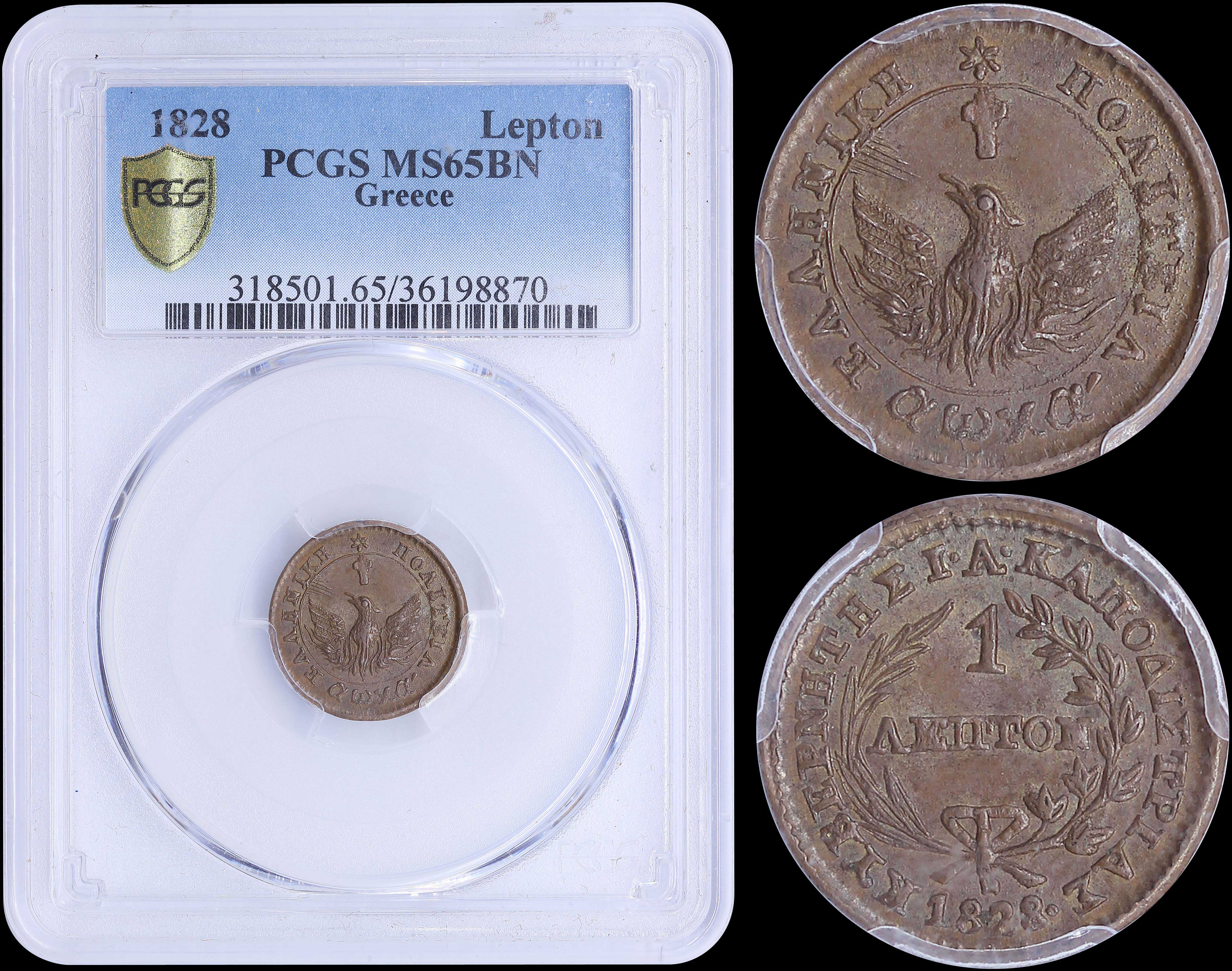 Lot 06002