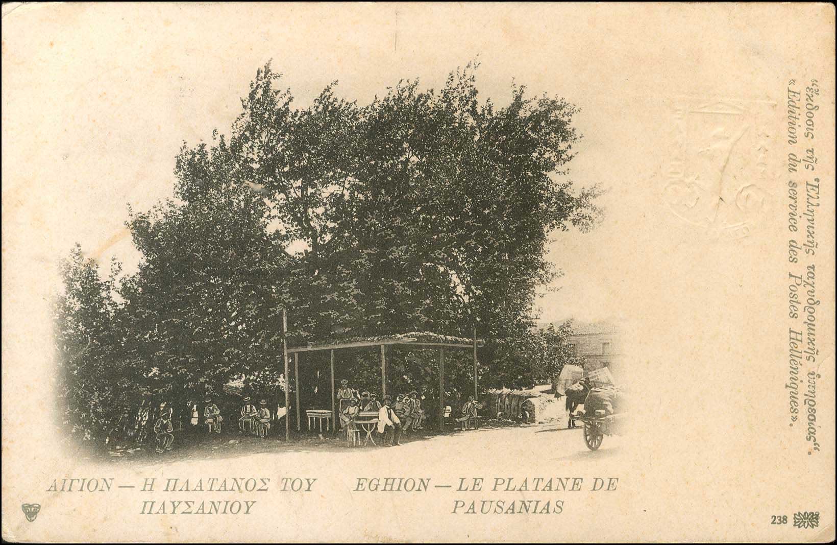 Lot 01041