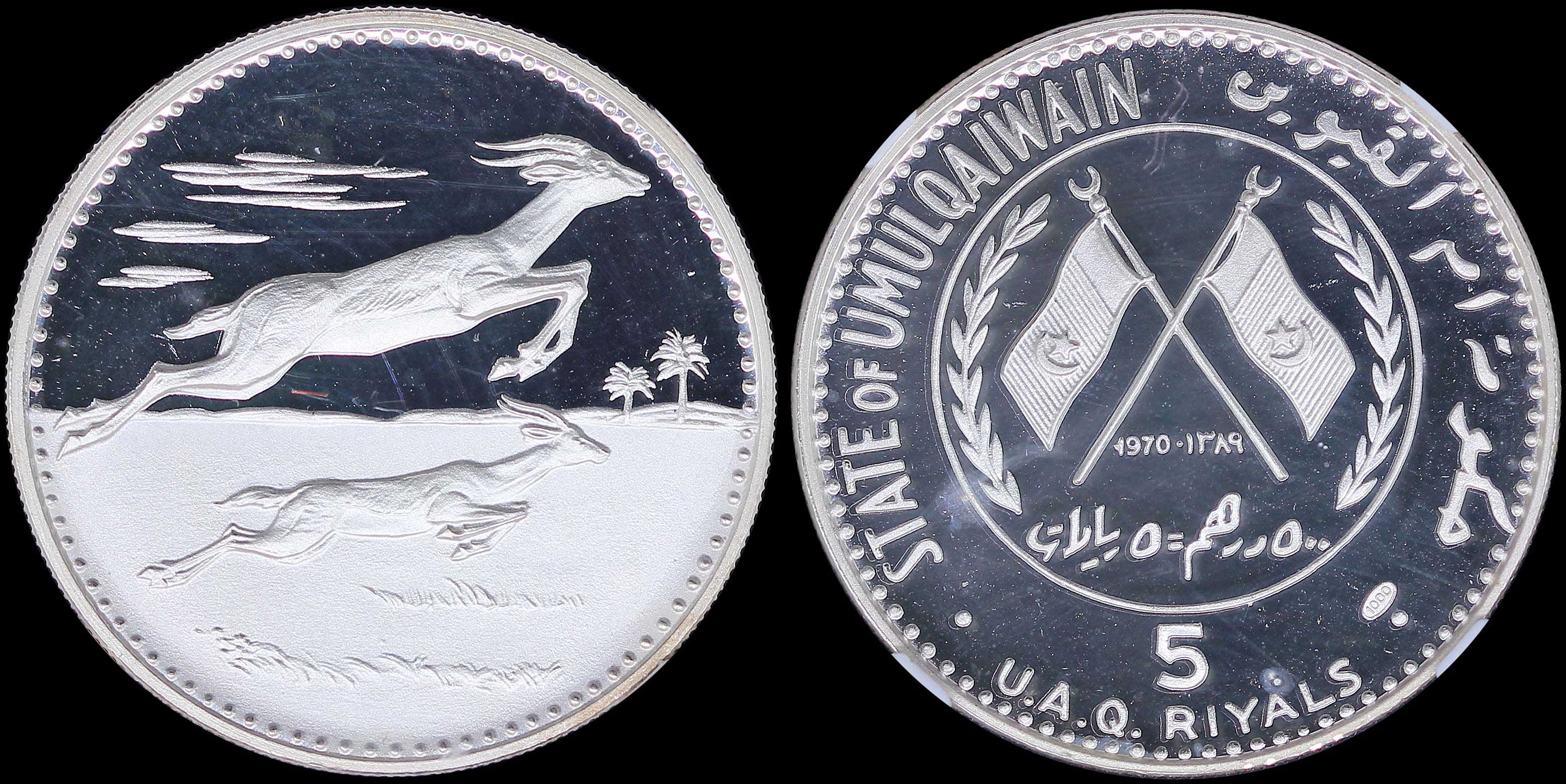 Lot 07022