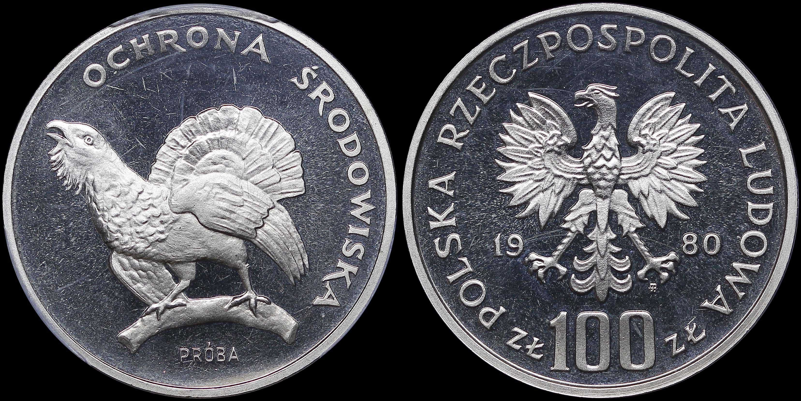 Lot 06924