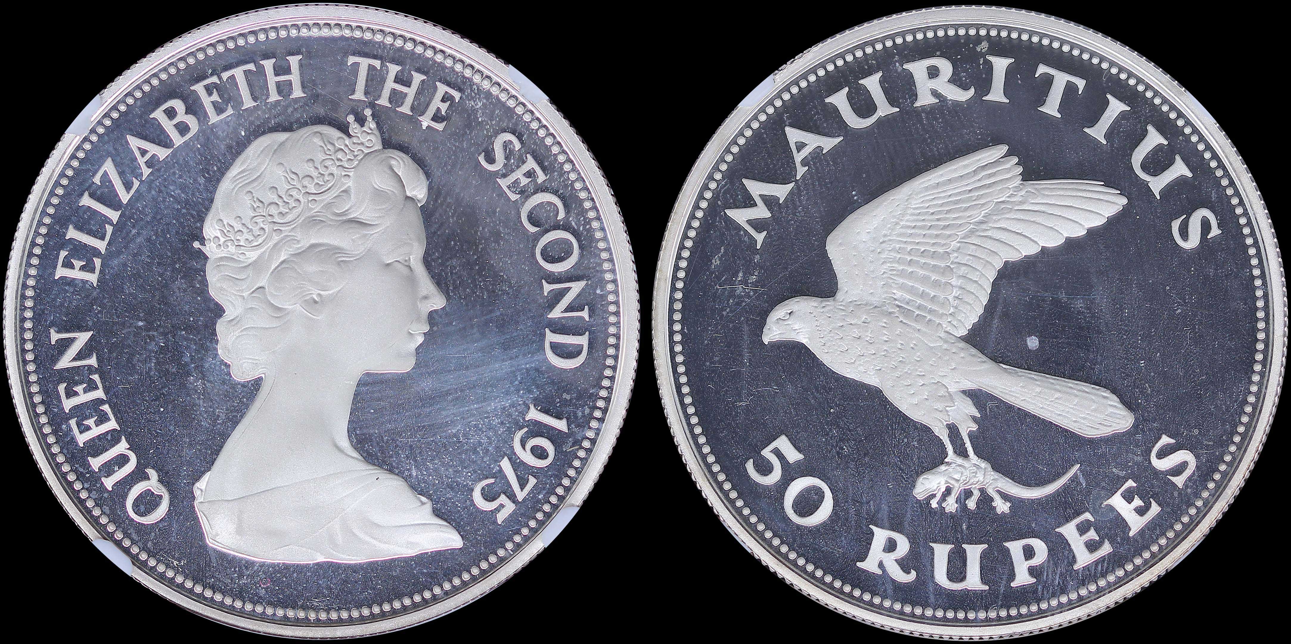 Lot 07003
