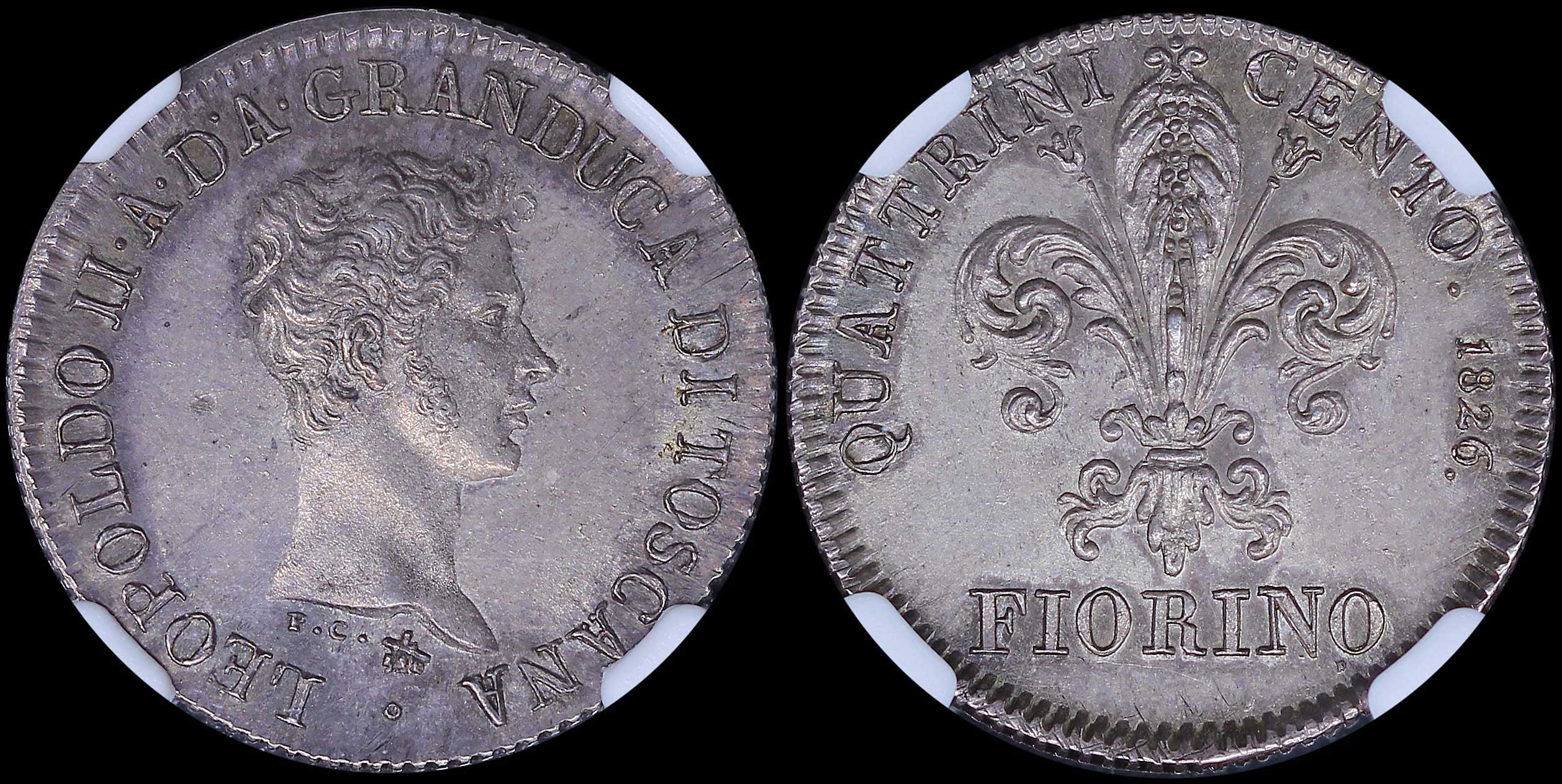 Lot 06904