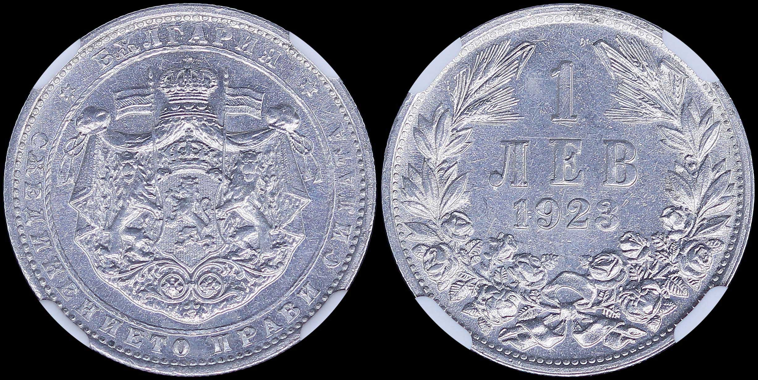 Lot 06663