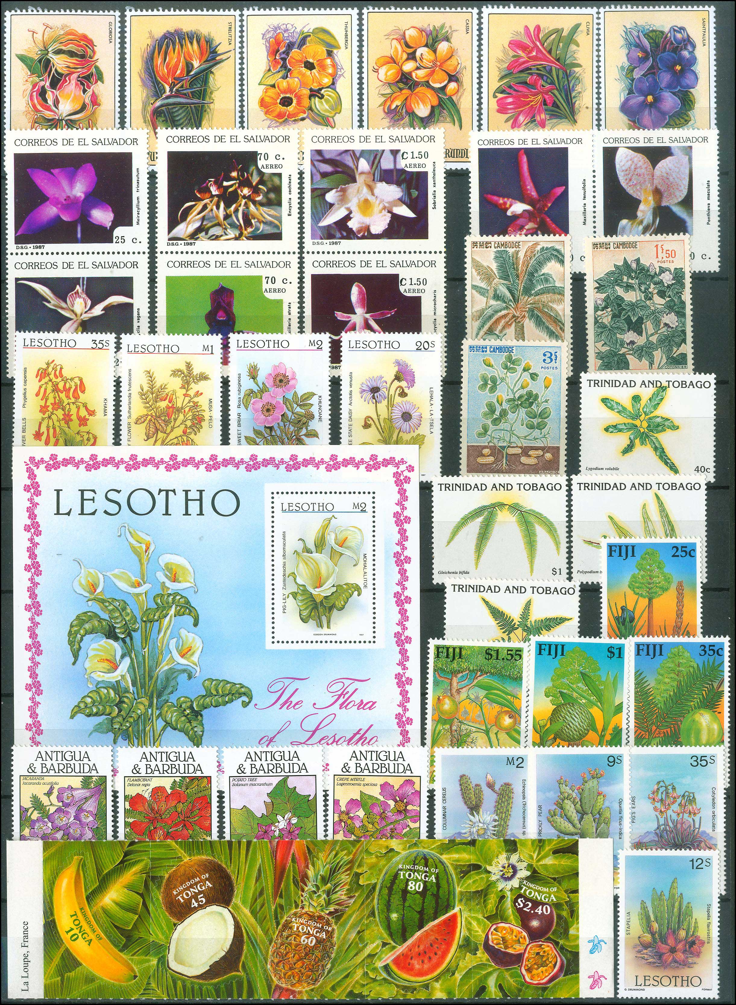 Lot 01137