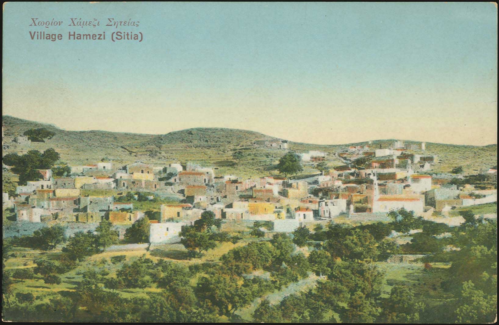 Lot 01339
