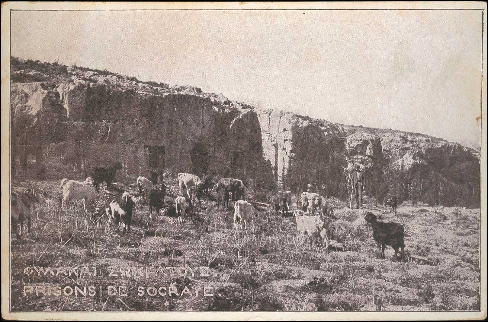 Lot 01448