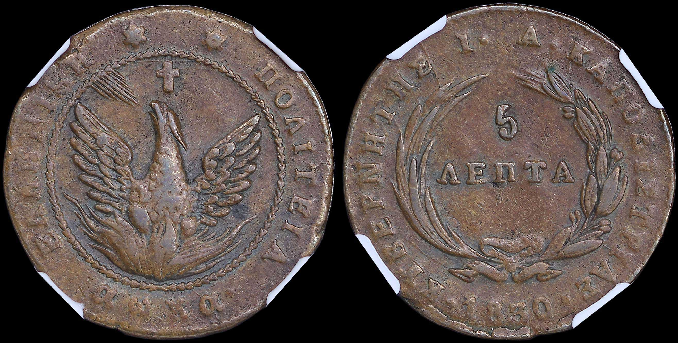 Lot 06019