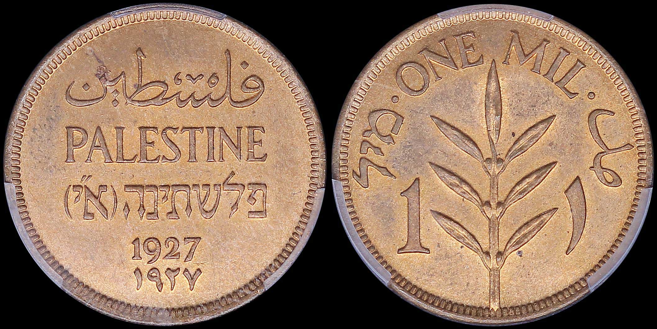 Lot 07017