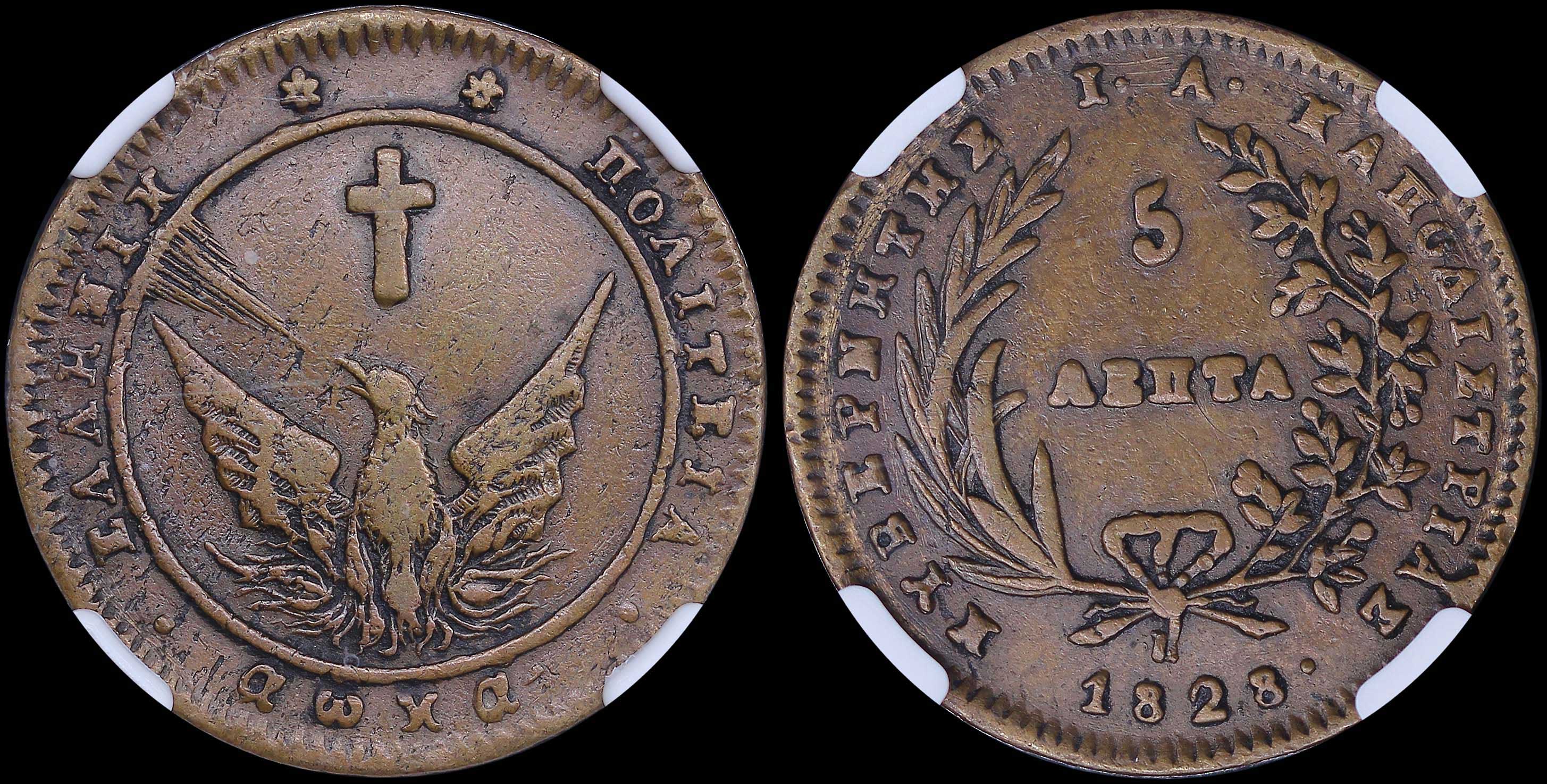 Lot 06007