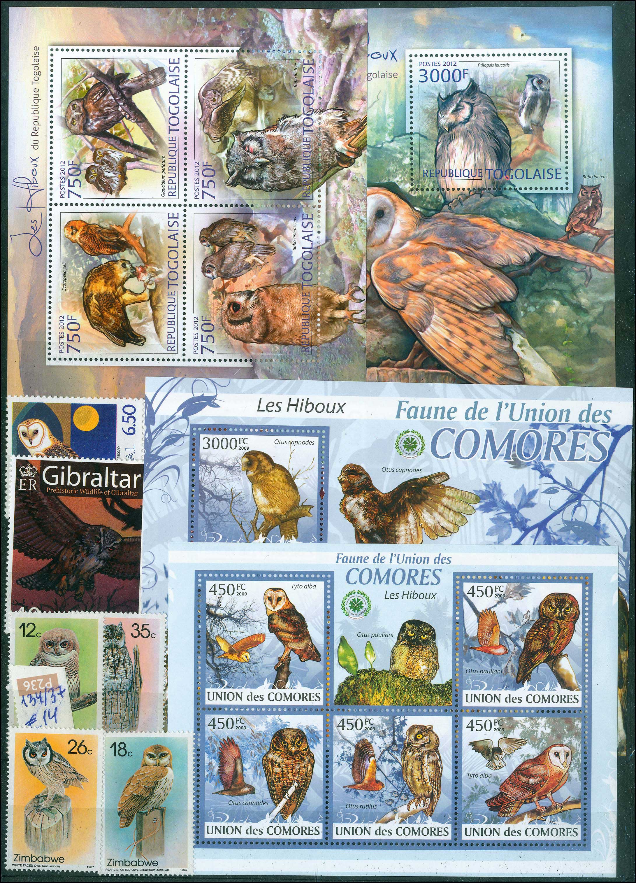Lot 01877
