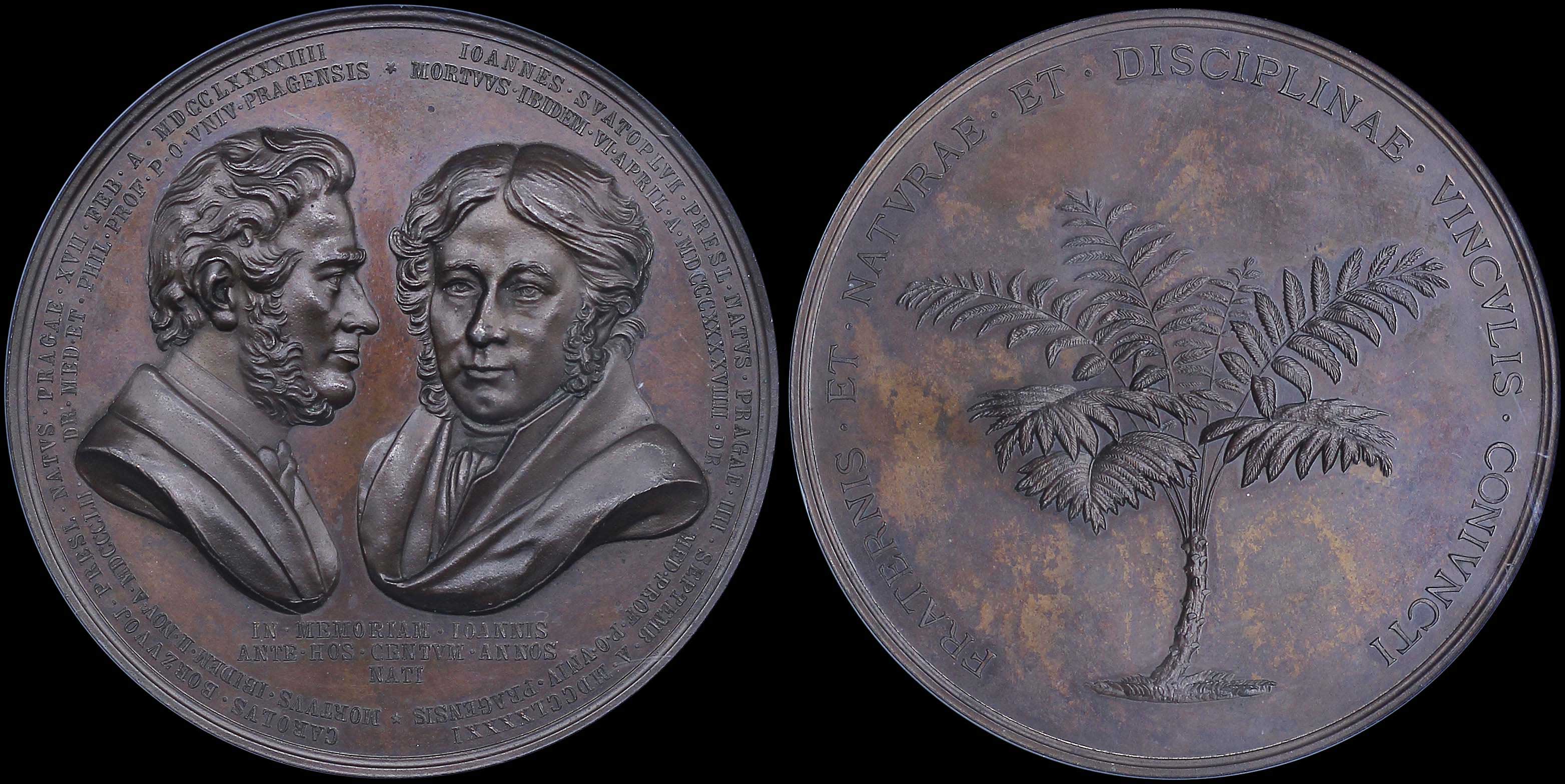 Lot 07078