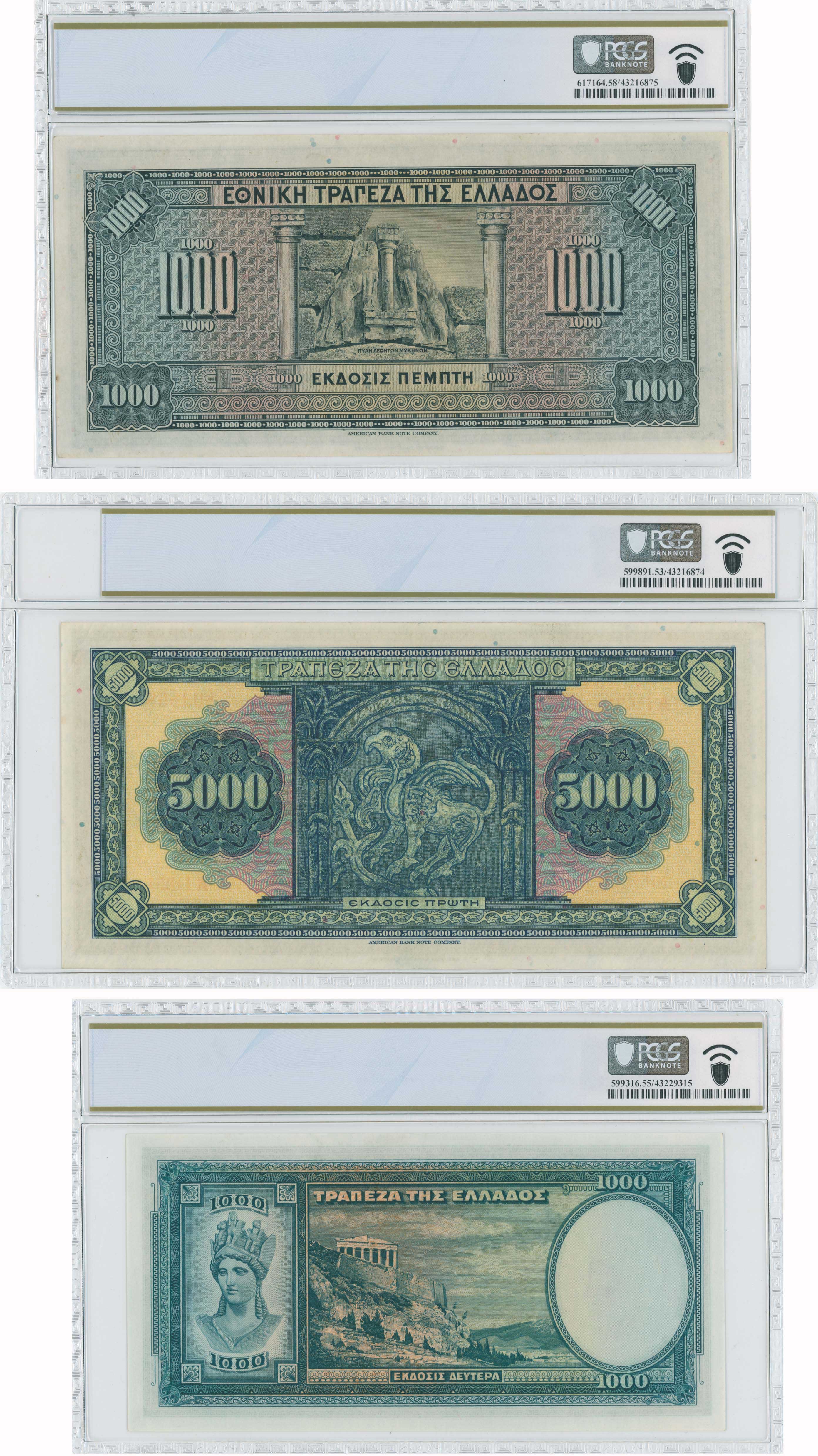 Lot 06446