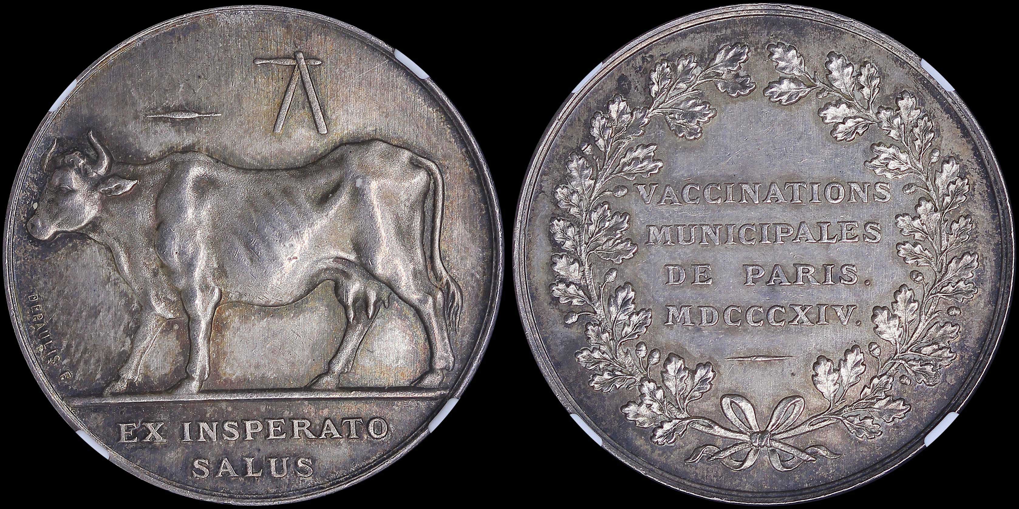 Lot 06677