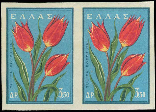 Lot 00508