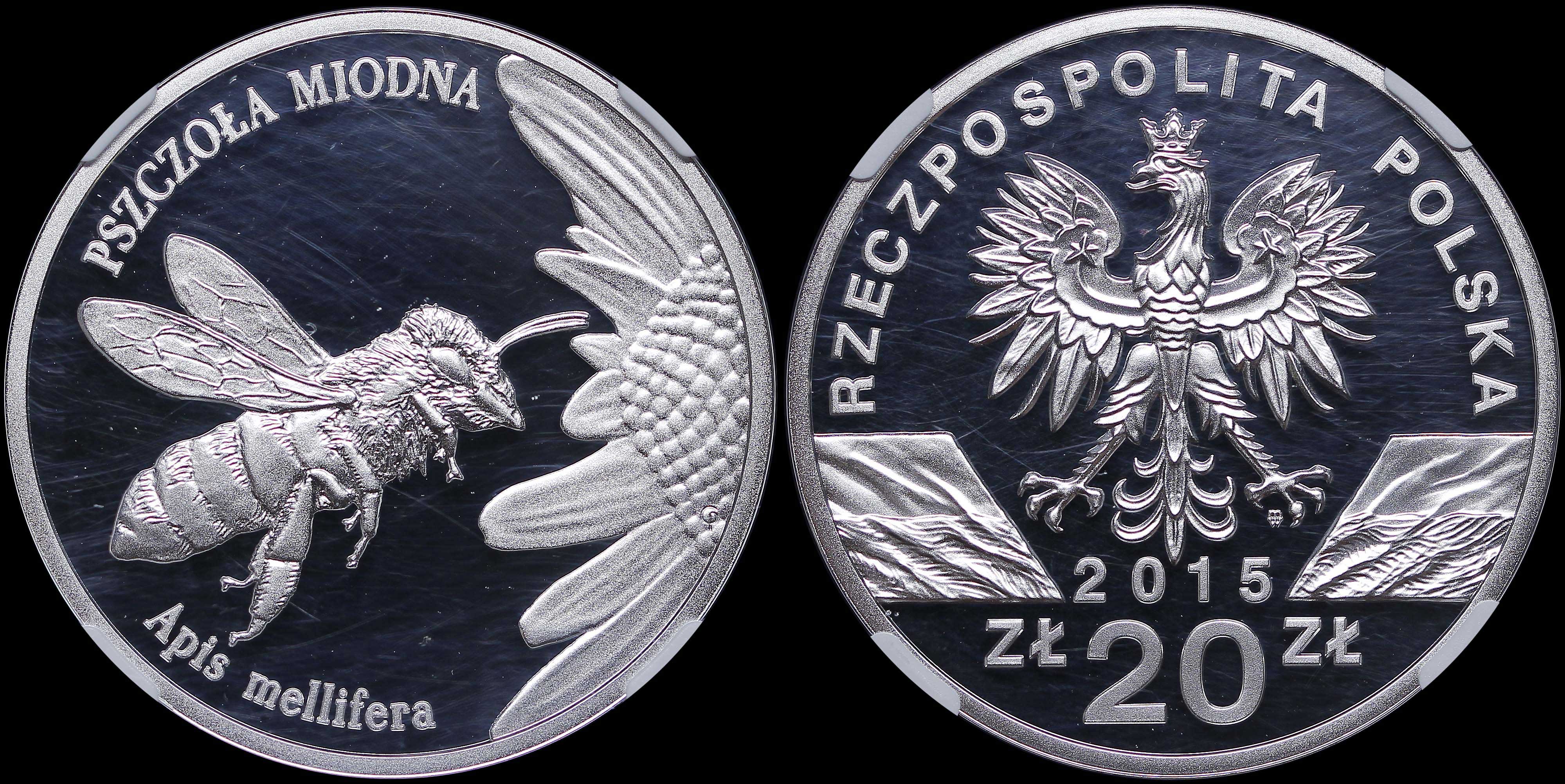 Lot 07193