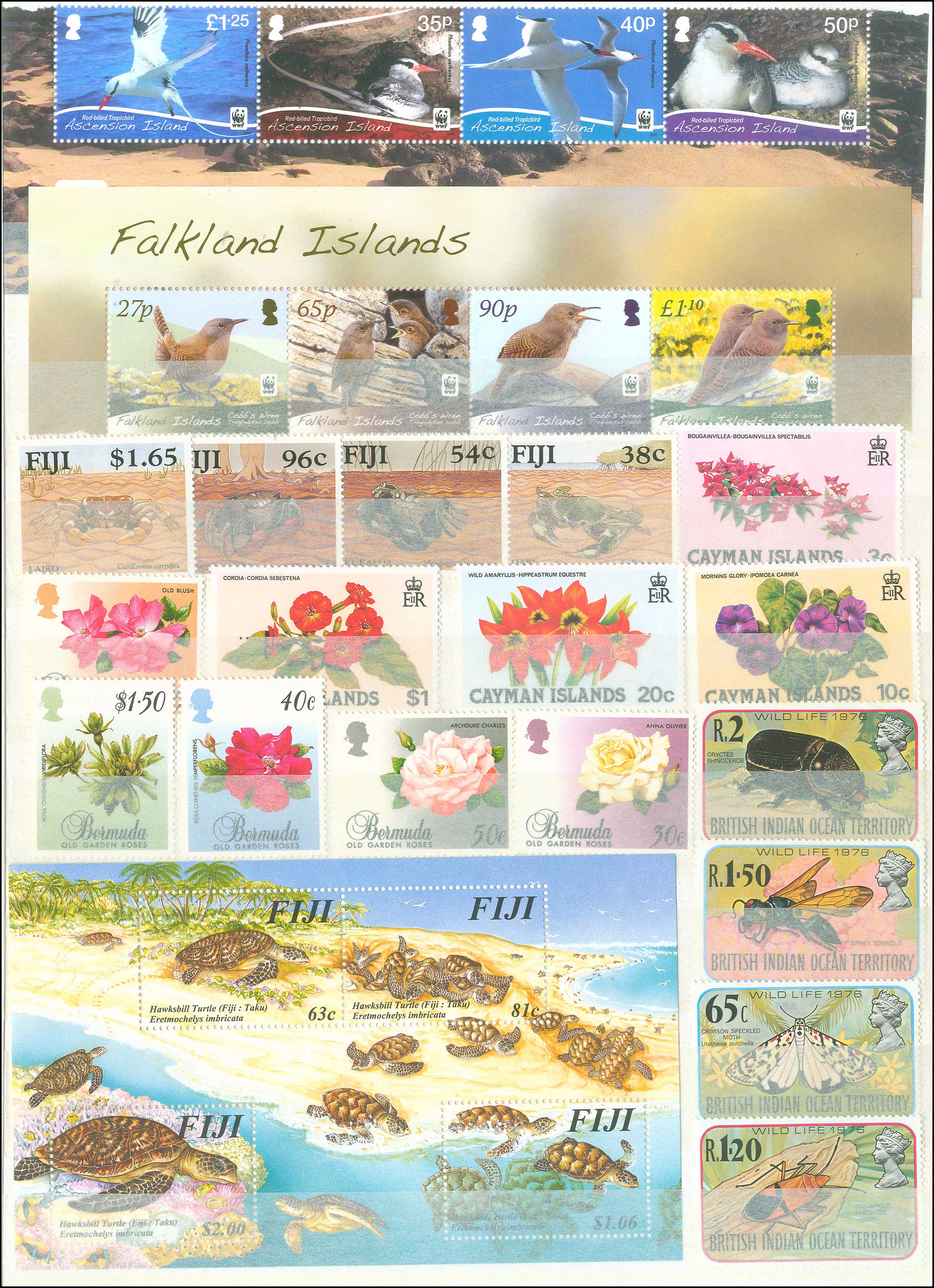 Lot 00953