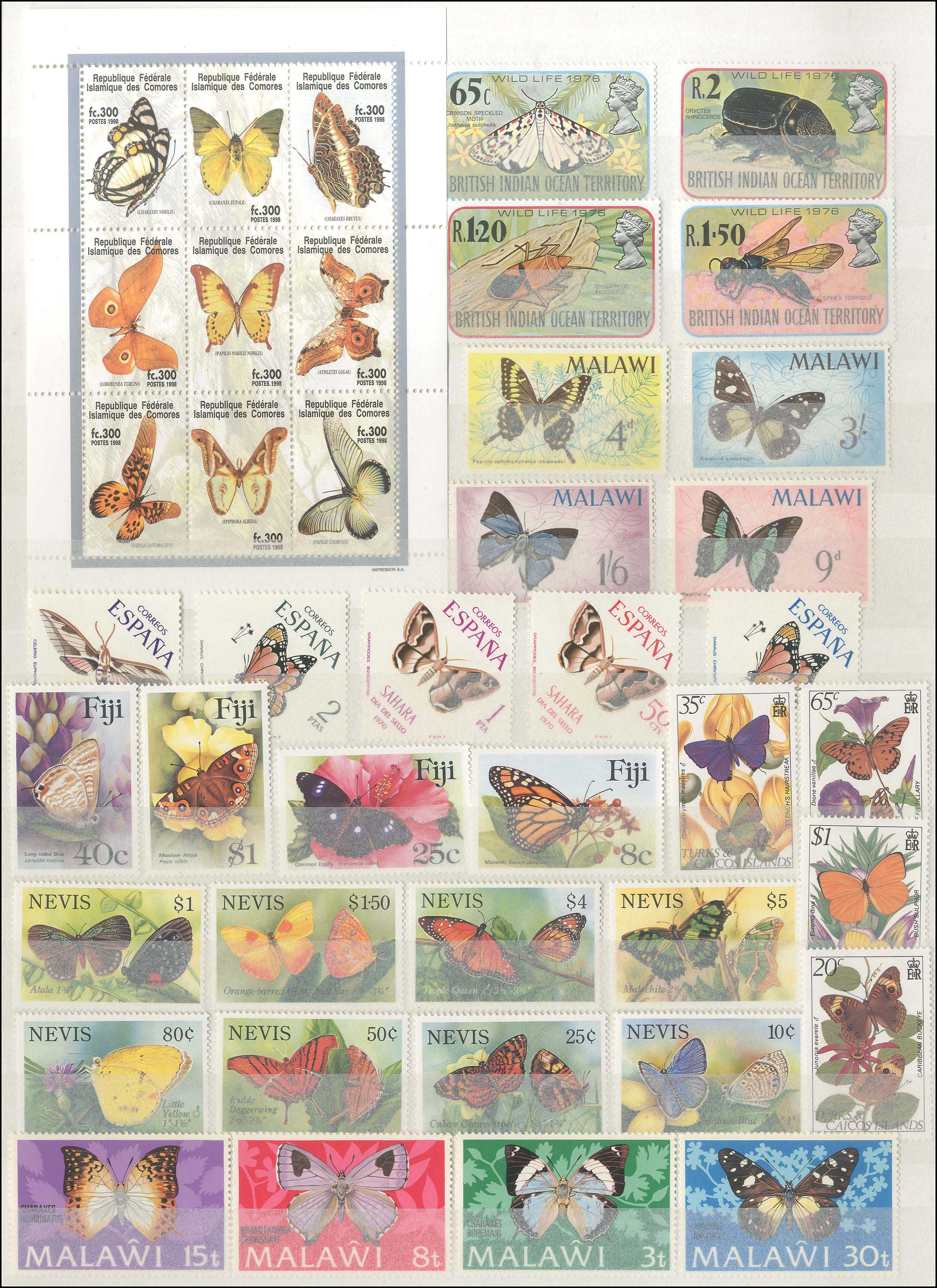 Lot 01017